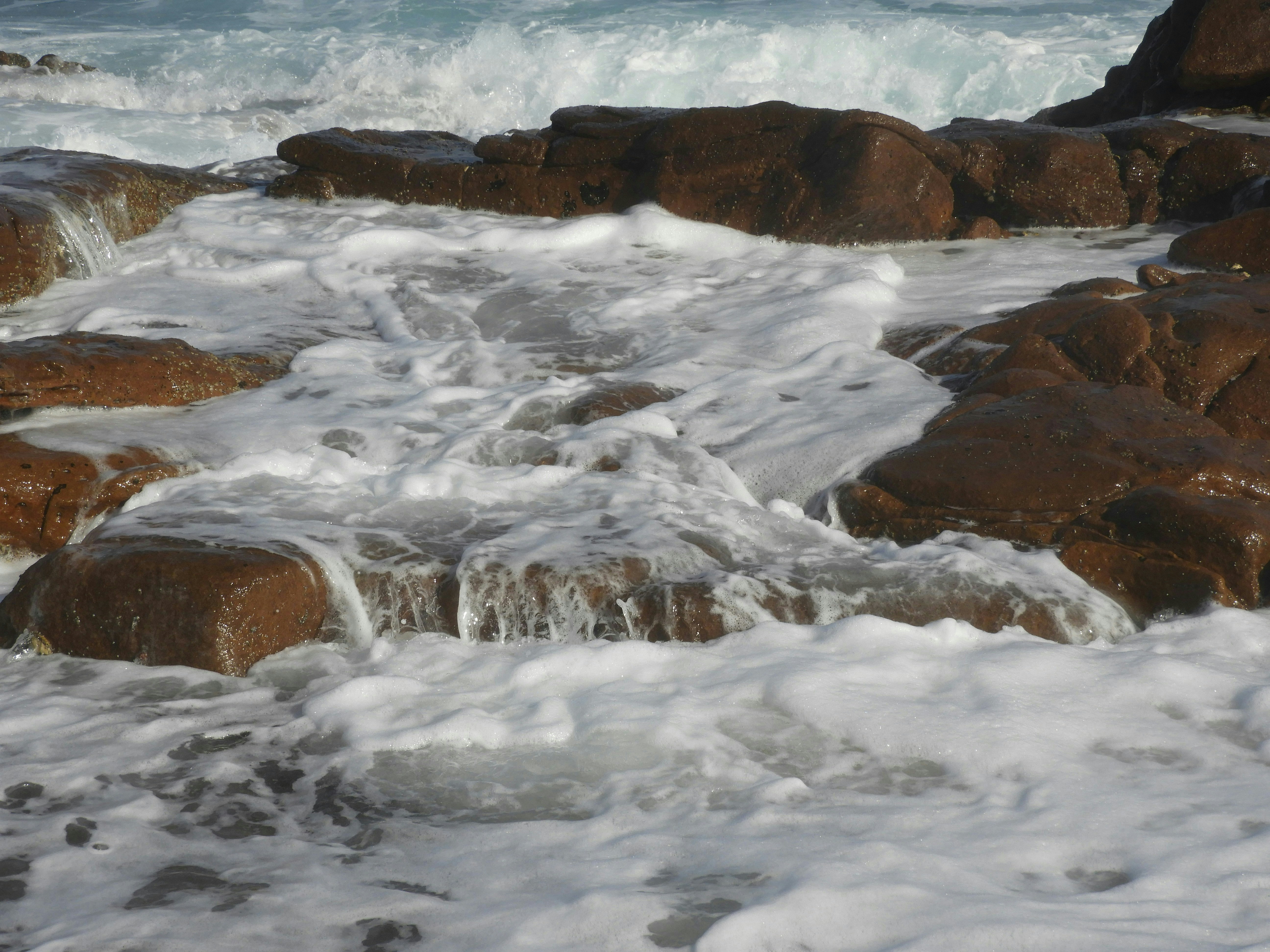 Sea foam on brown rocks - Free Photo on Unsplash