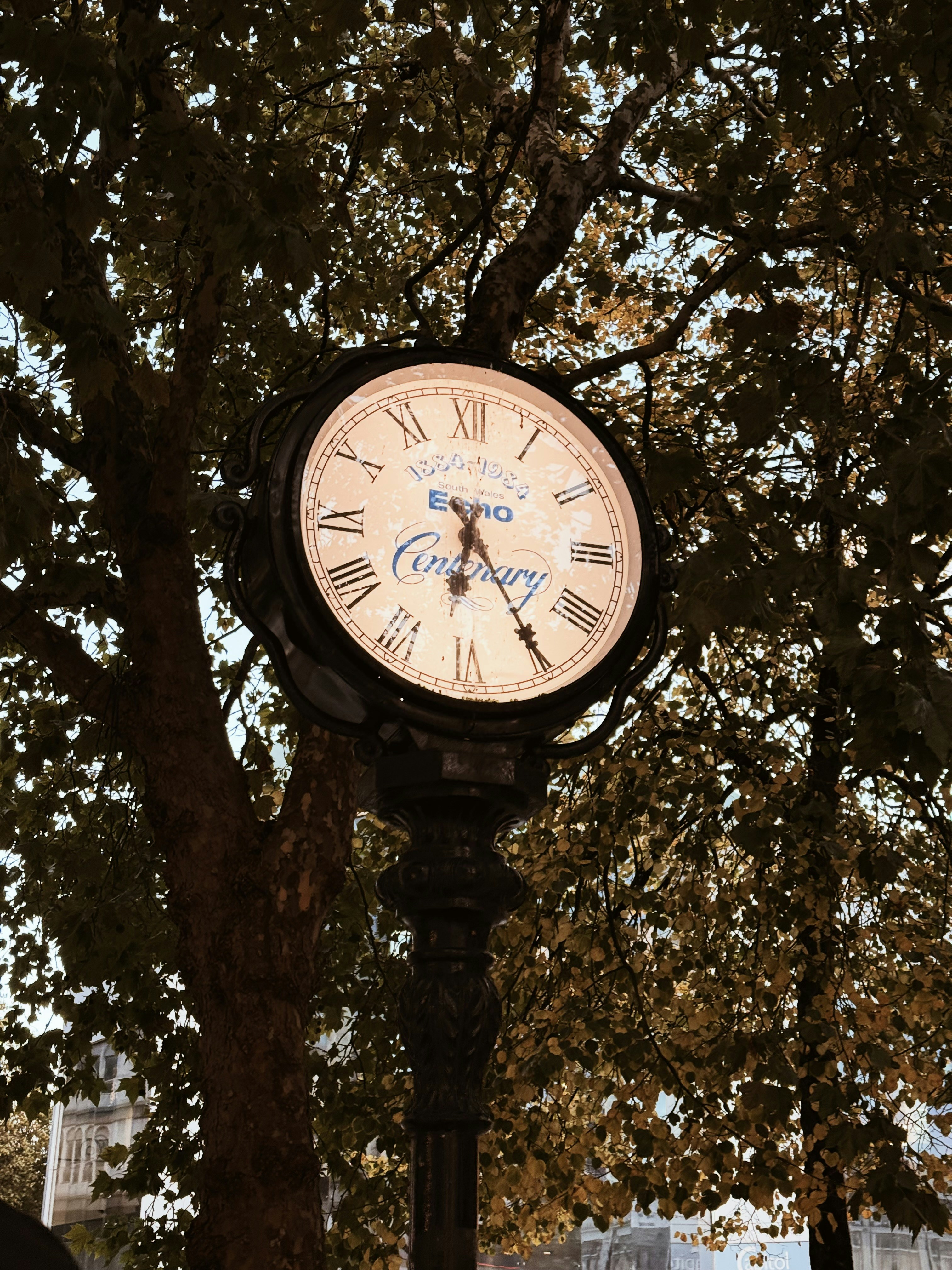 Reloj de calle entre árboles con hojas de otoño