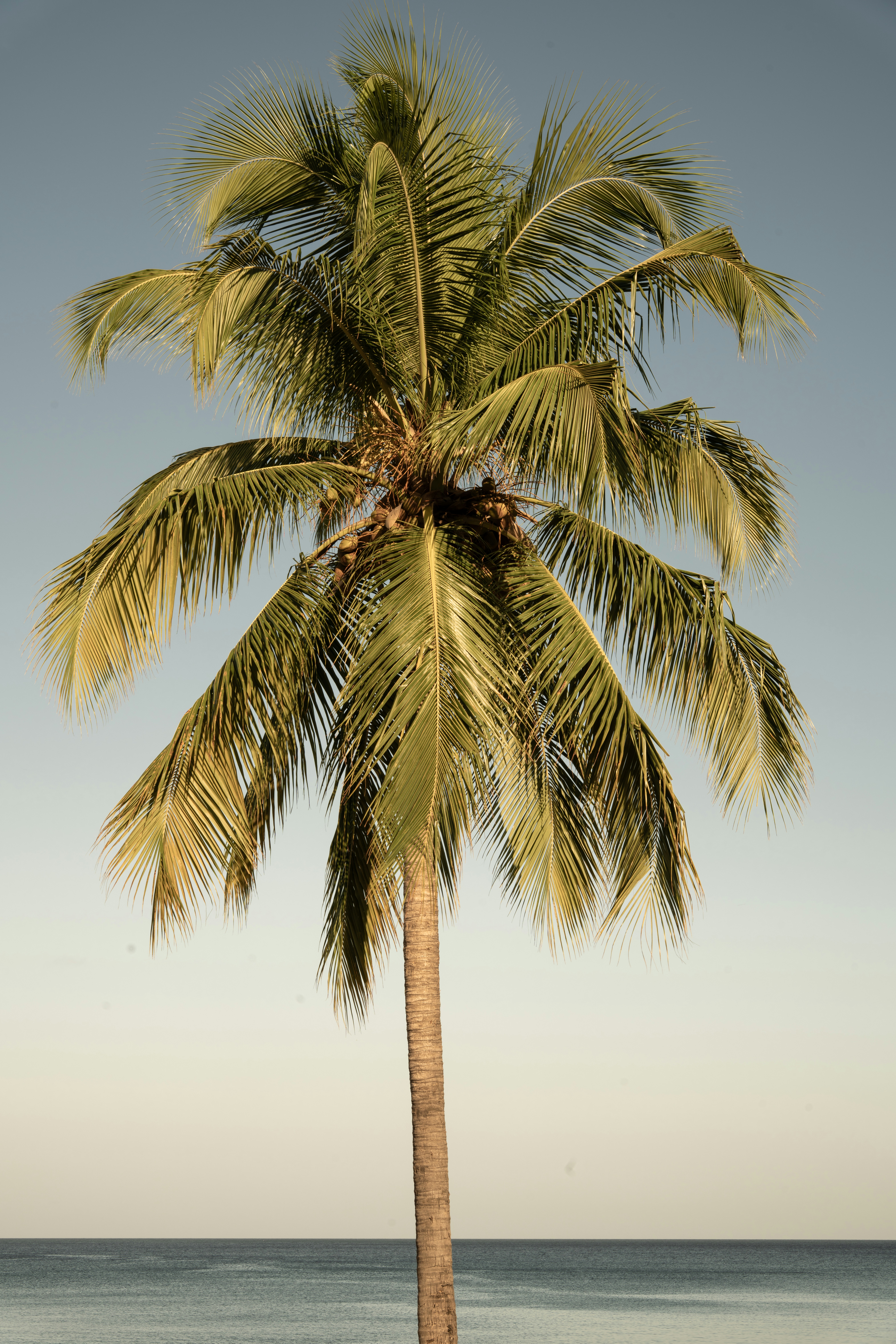 Unsplash Photo - 相关推荐