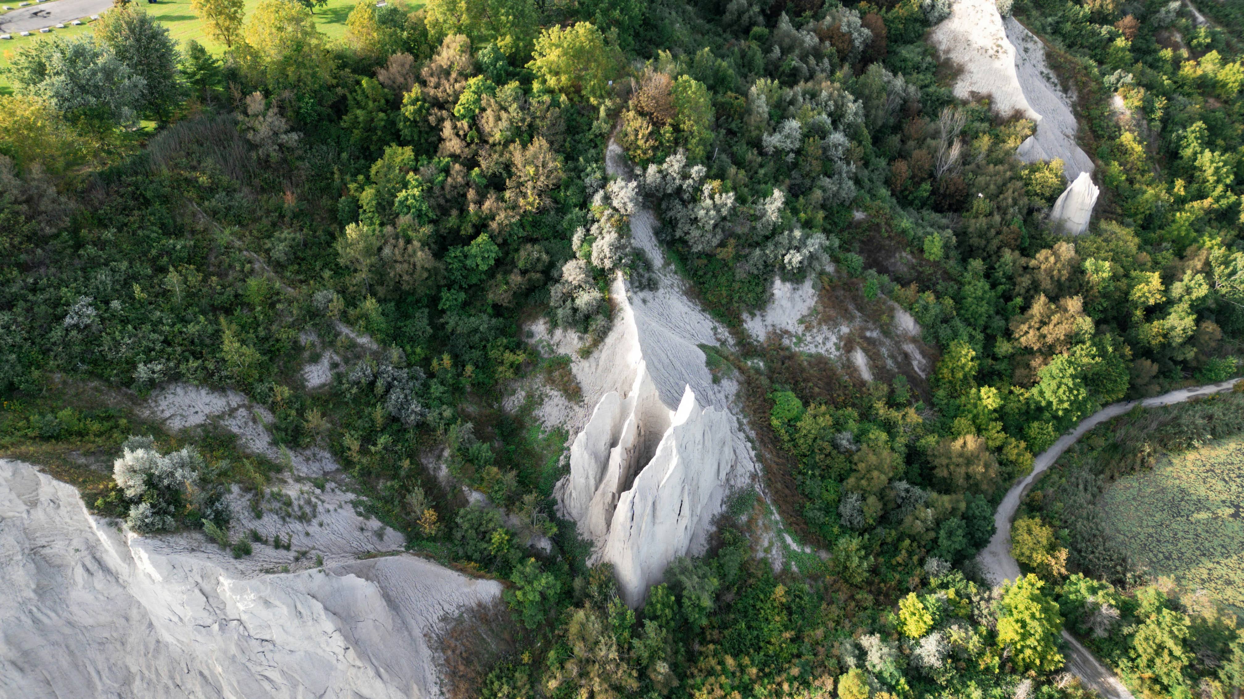 Aerial view of white limestone cliffs surrounded by dense green forest and trails