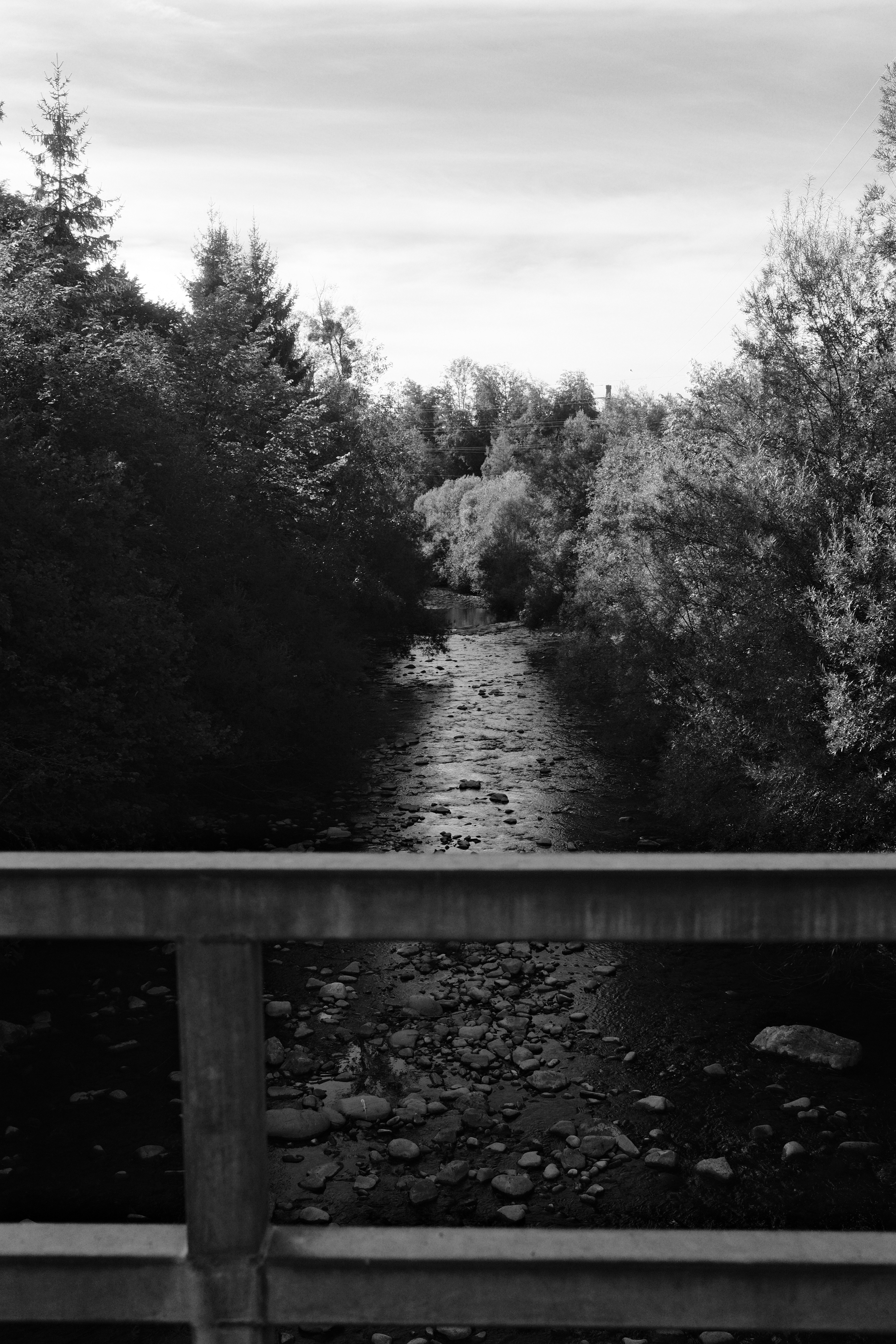 A shallow rocky stream flowing through dense trees viewed from a bridge railing