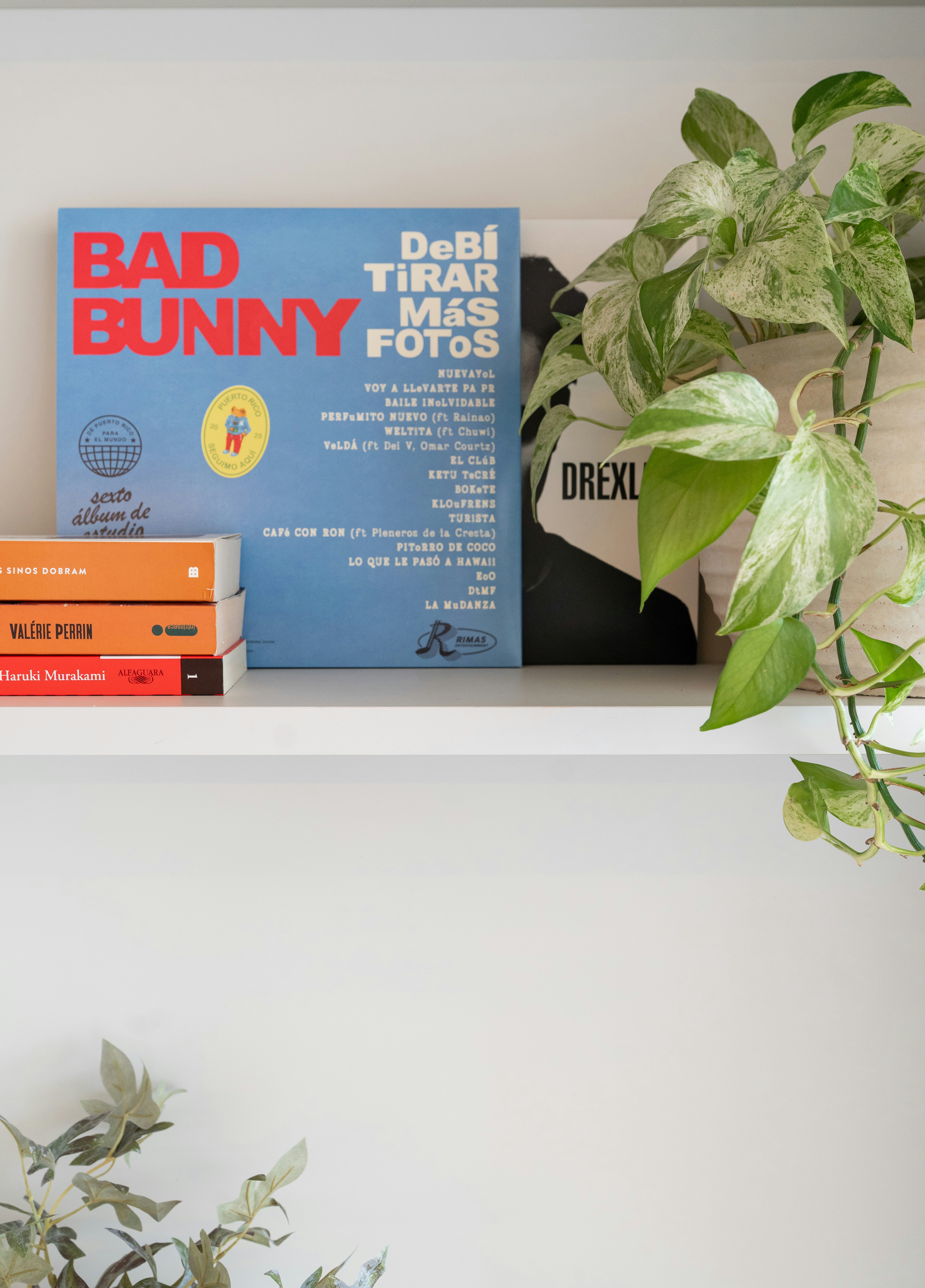 A vinyl record, books, and a variegated pothos plant on a white shelf
