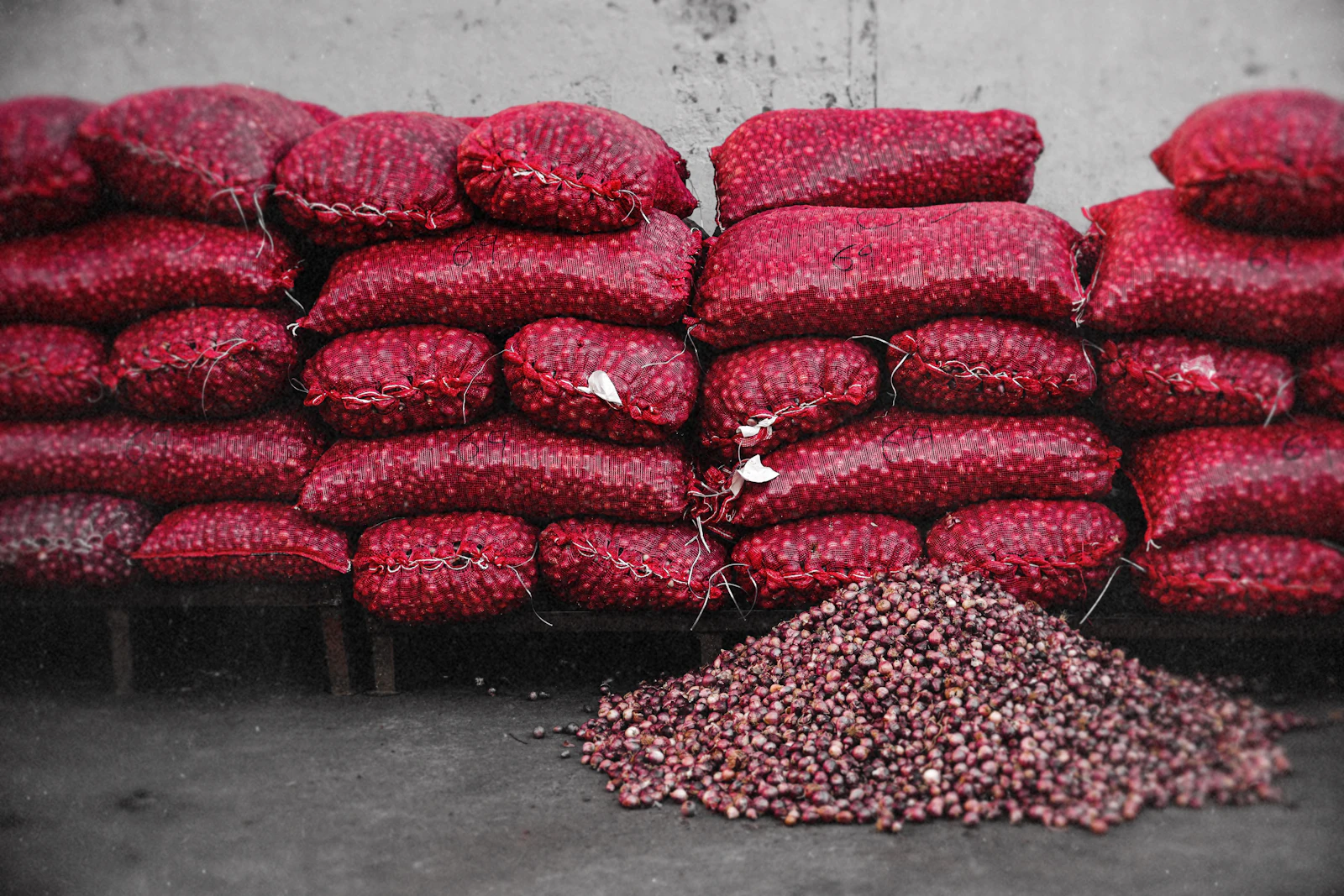 Rows of red mesh bags filled with onions, with a pile of loose onions in front