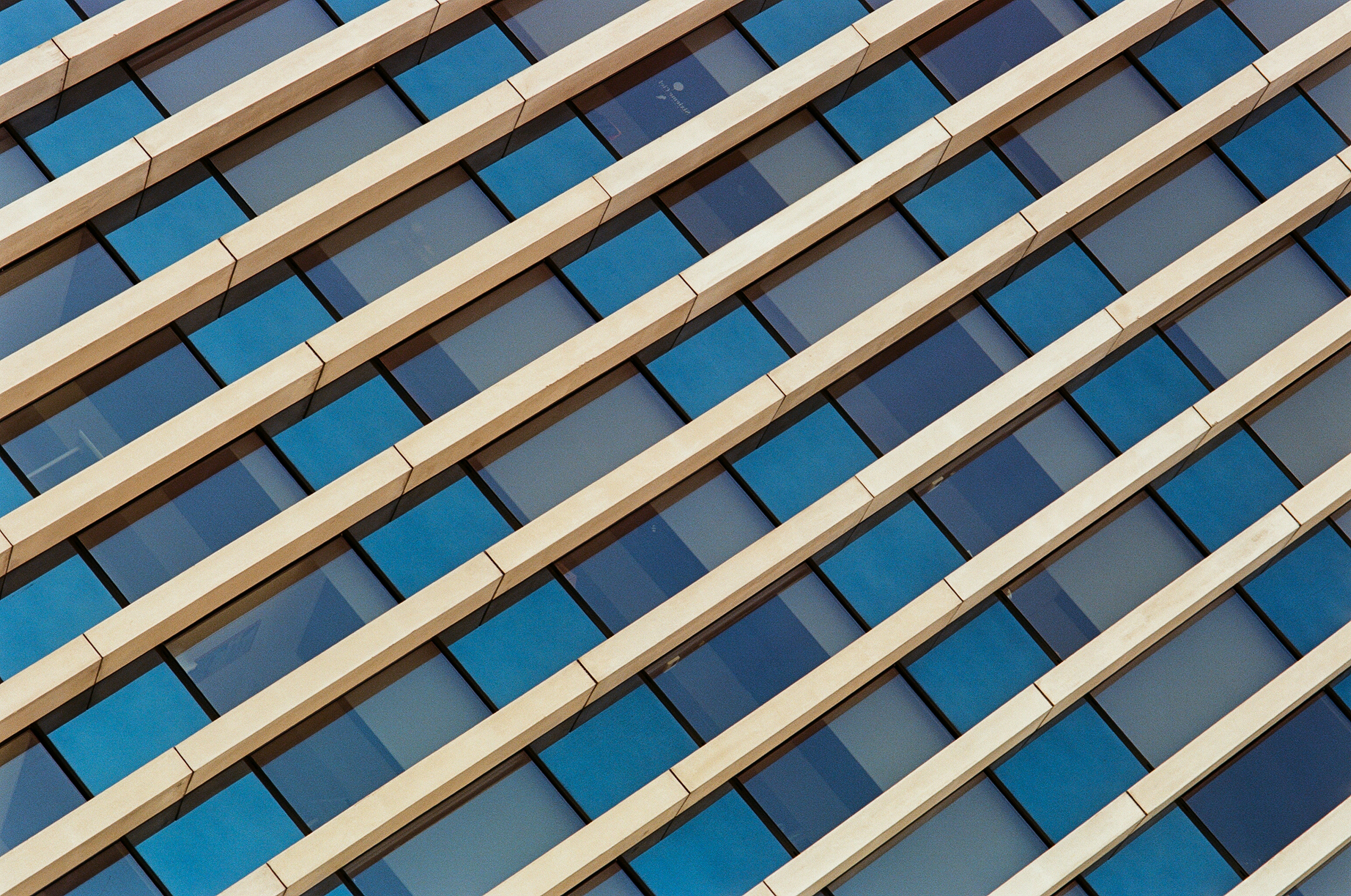 Boring Is a Business Model: How the Dullest Brand in Your Category Prints Money