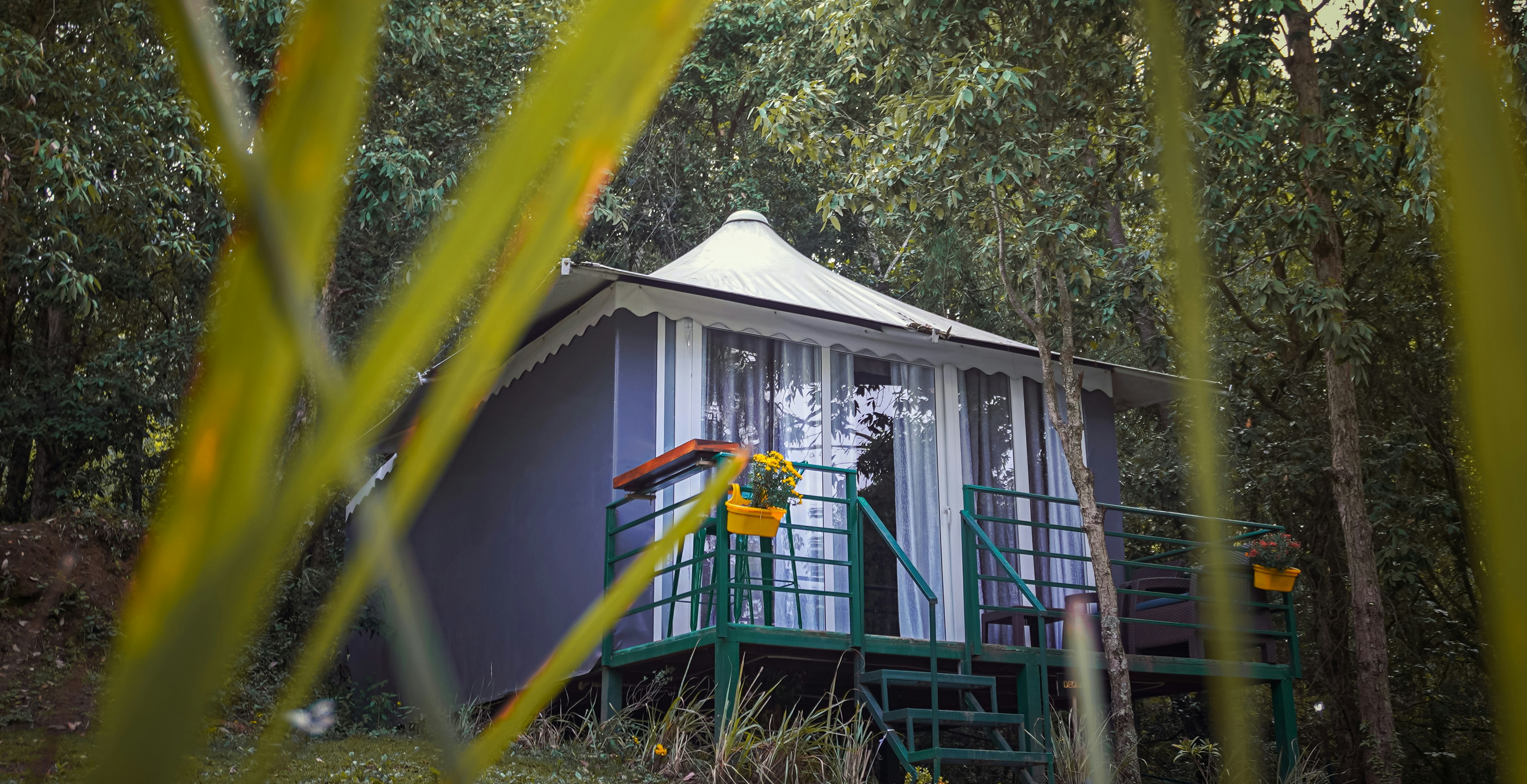 Le Cottage du Lignon — Le Chambon-sur-Lignon