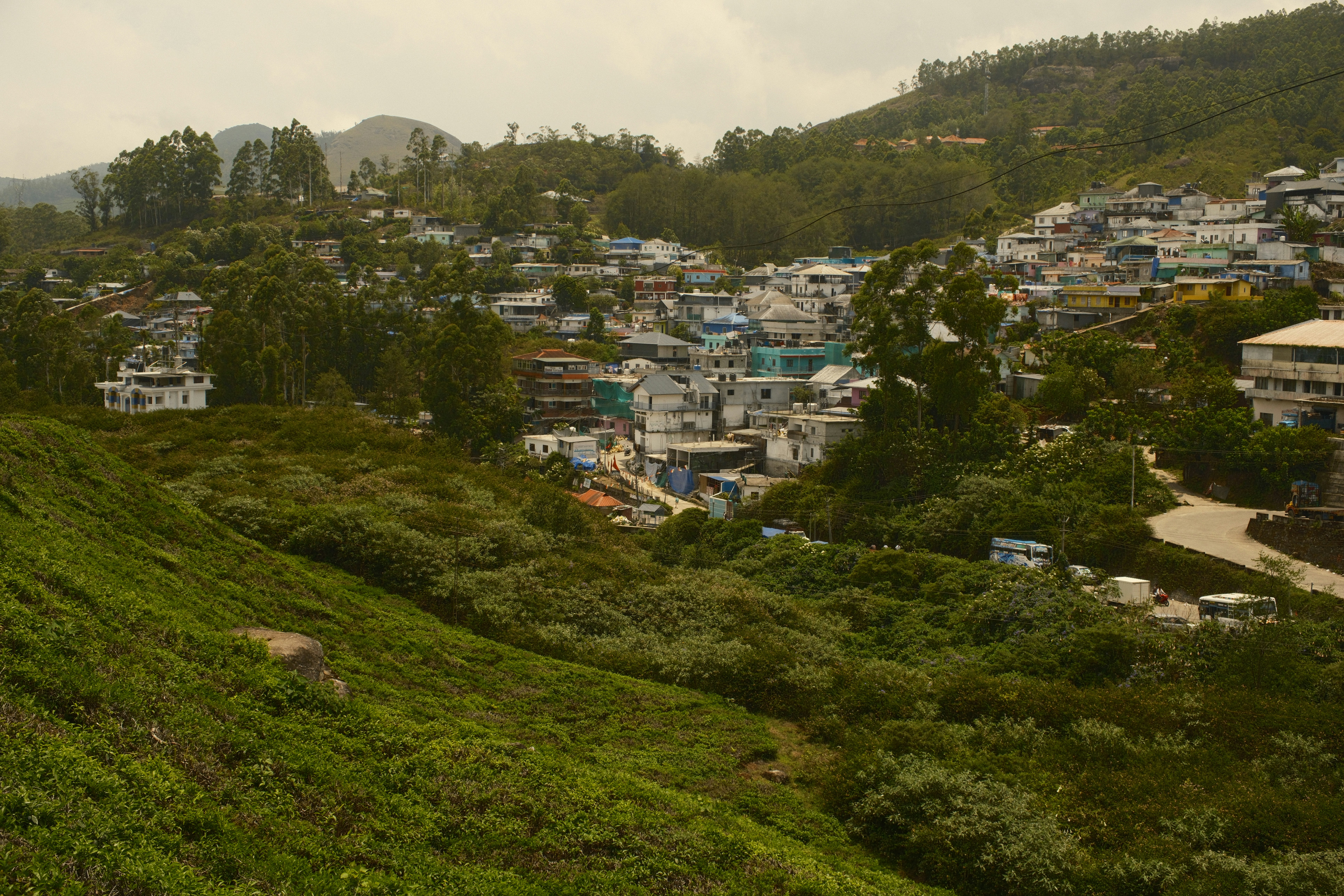 A hillside town with colorful houses nestled among lush green tea plantations