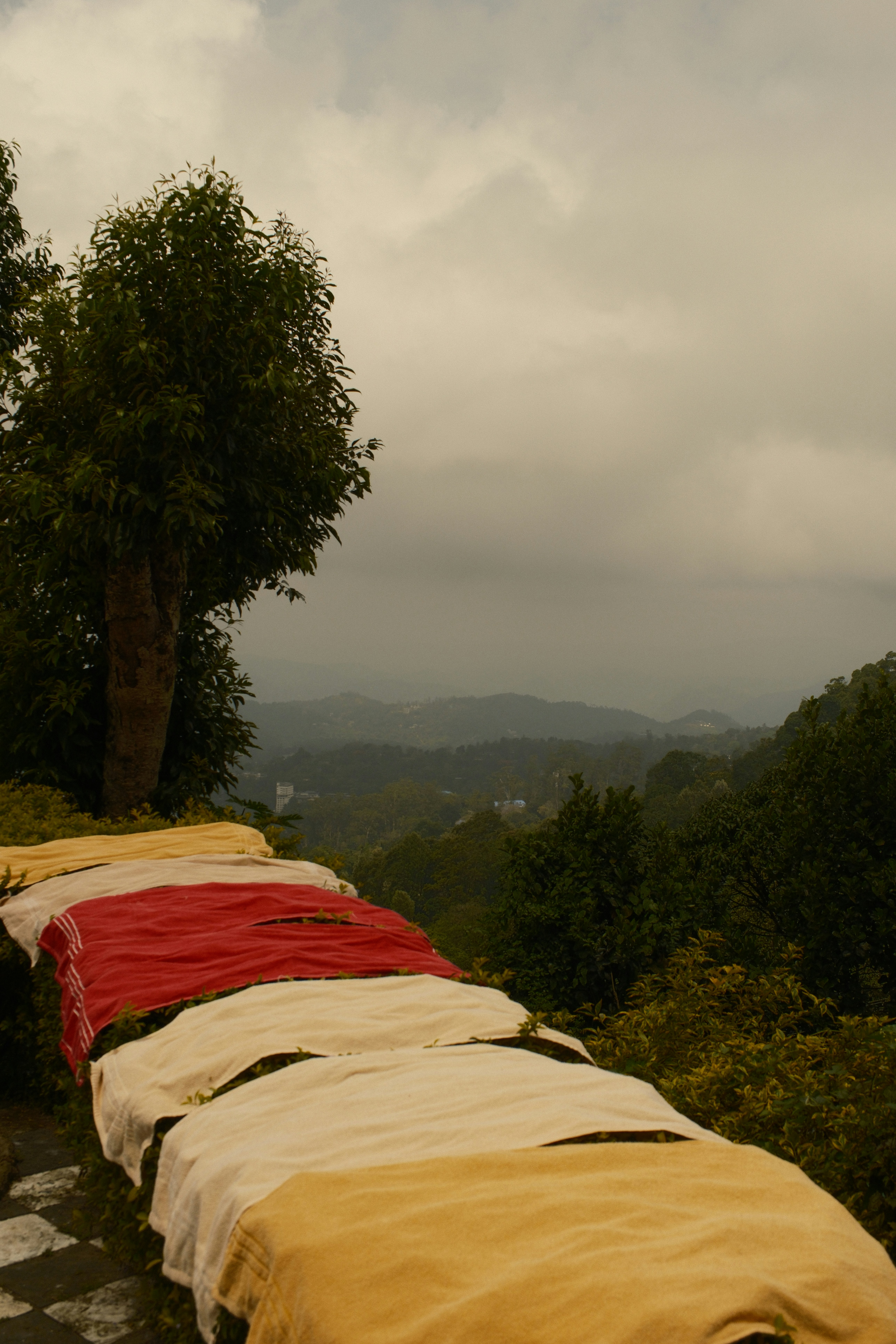Colorful towels drying on a hedge overlooking a misty mountain valley