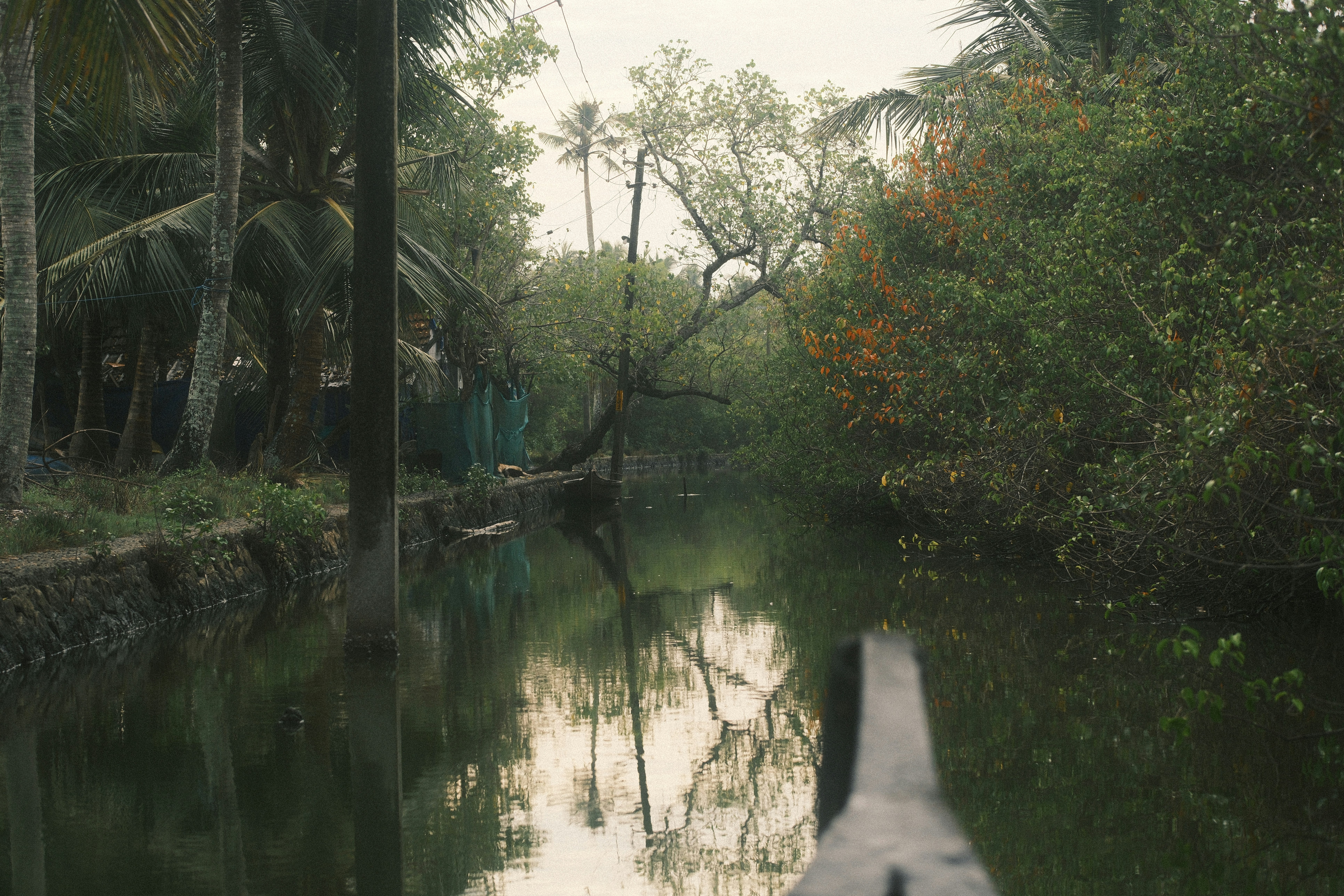 A narrow canal lined with palm trees and dense foliage in Kerala, India