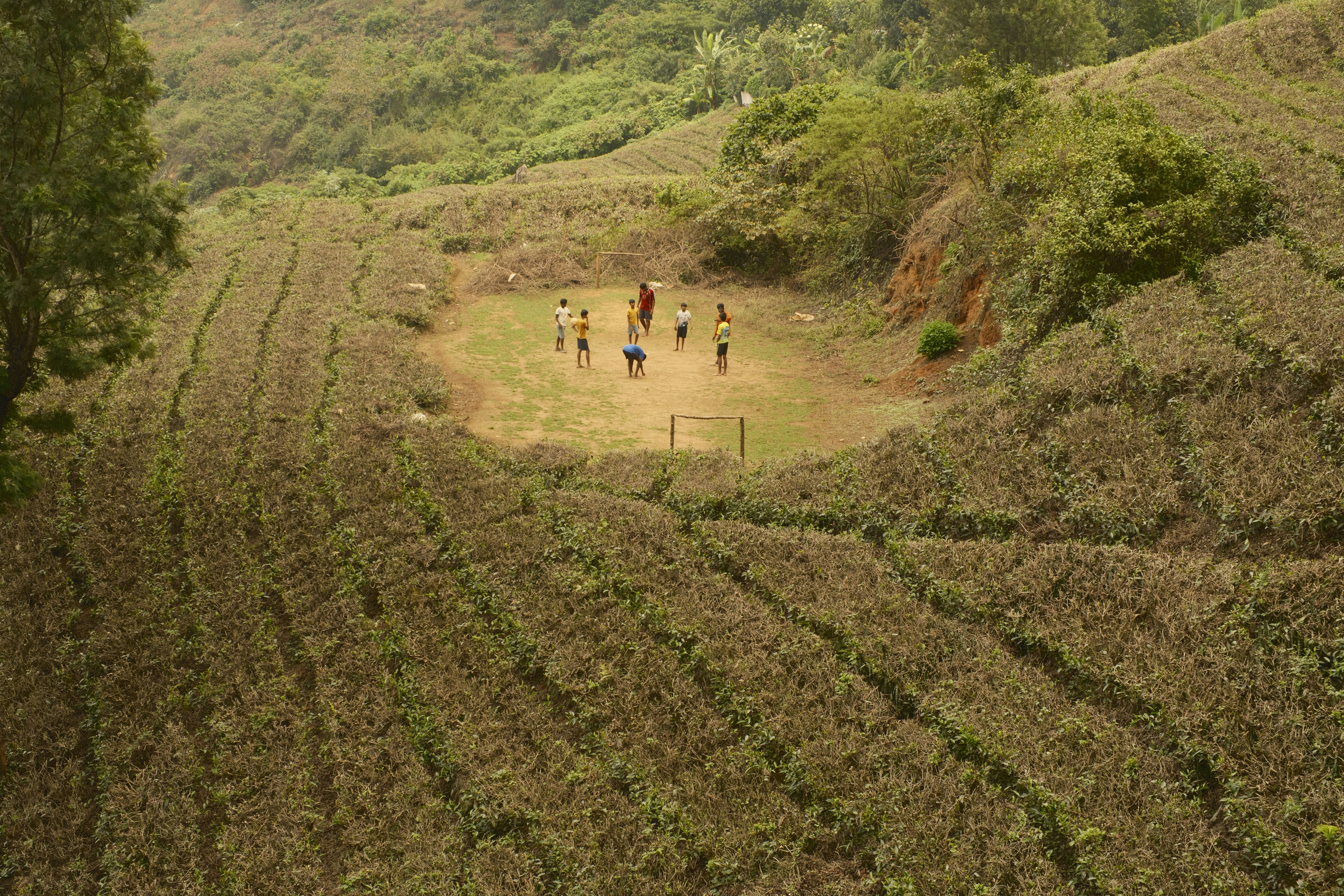 A group of people playing soccer on a dirt field surrounded by tea plantations