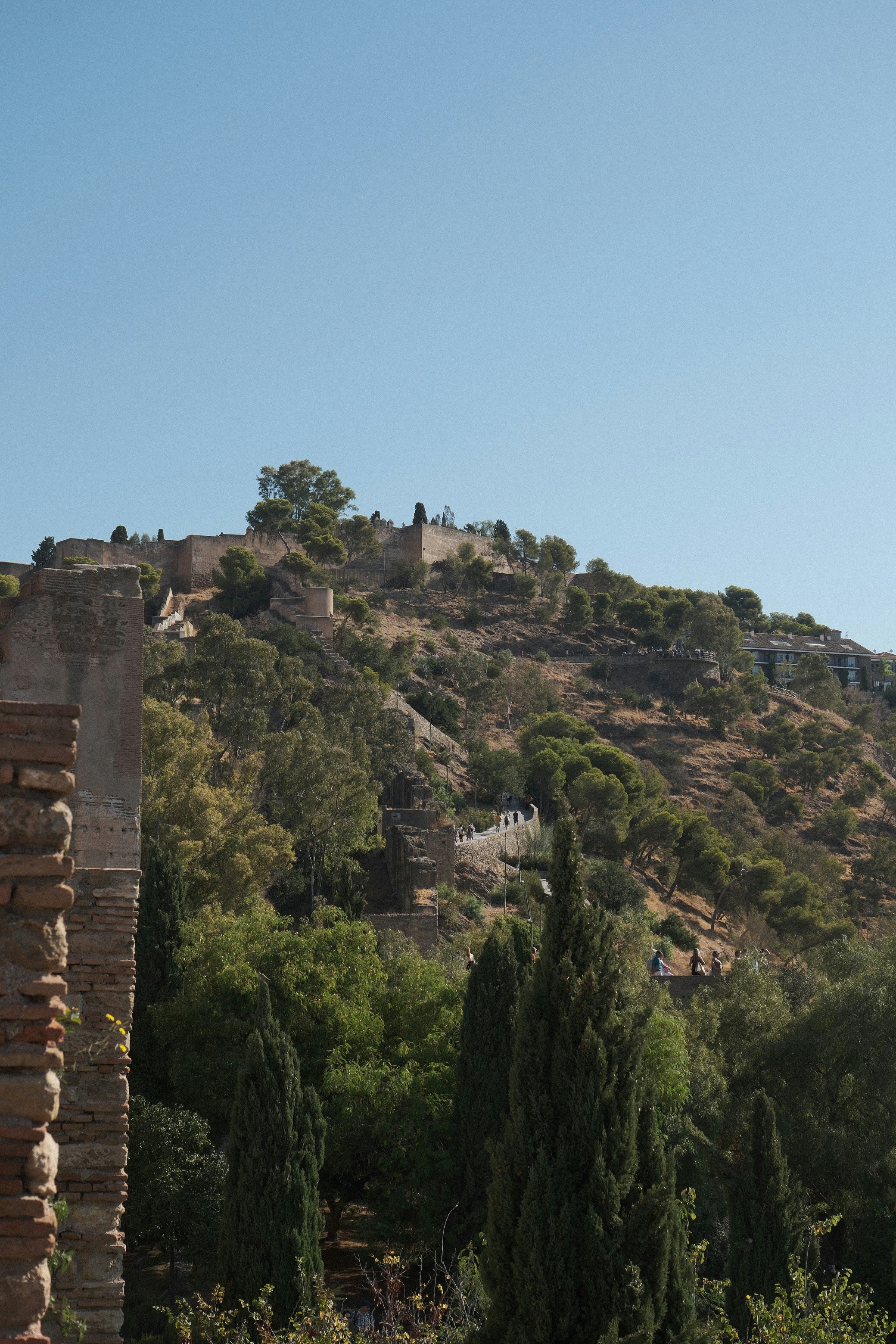 Mura di pietra e alberi su una collina a Malaga, Spagna