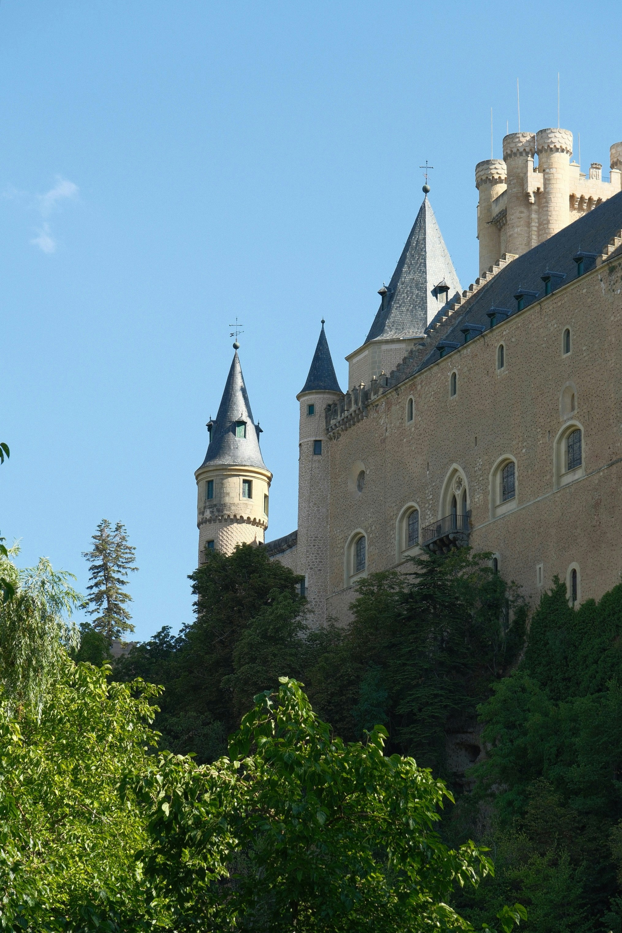 Il castello dell'Alcázar di Segovia con torri di pietra che si innalzano sopra alberi verdi e rigogliosi