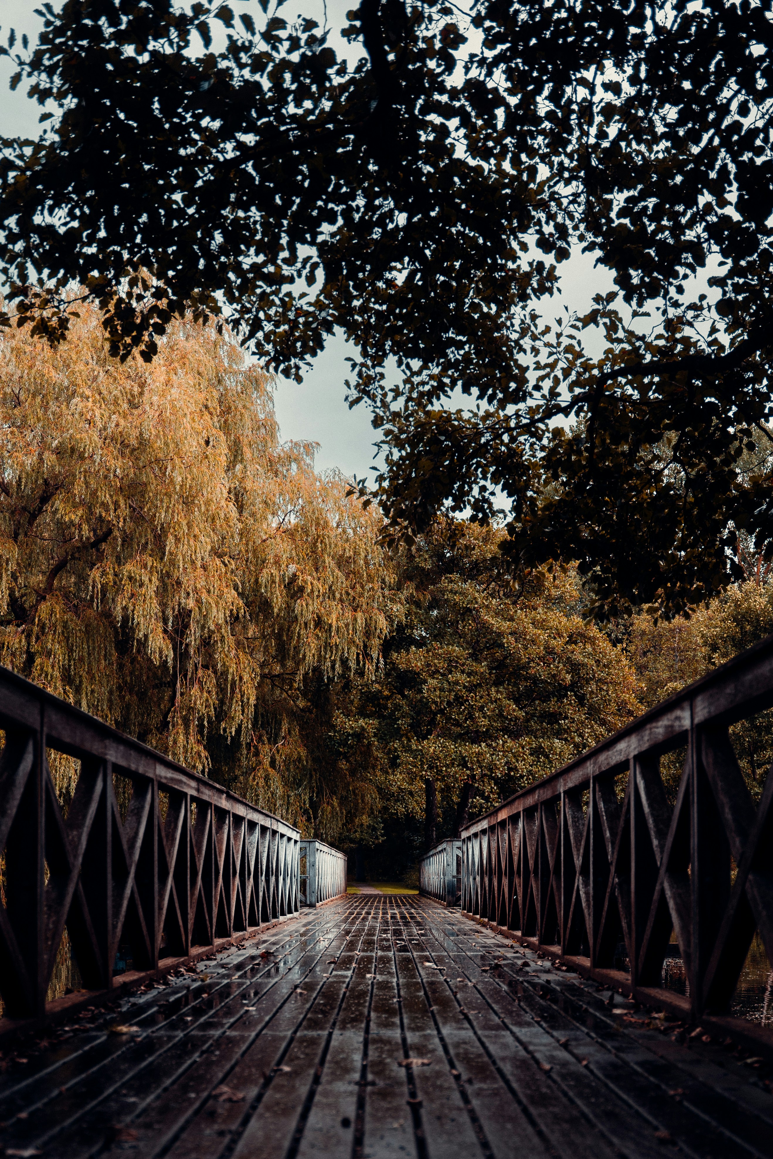 A wooden footbridge with lattice railings leading into a dense autumn forest