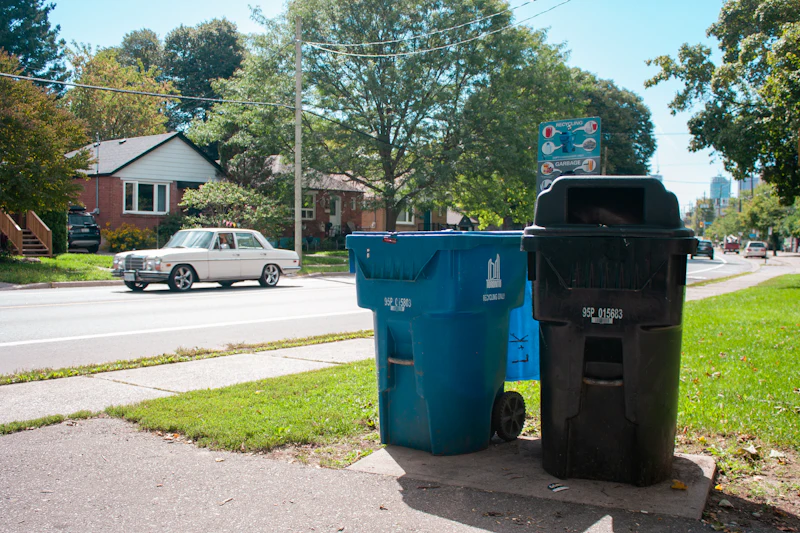Wheelie bins on a grassy curb beside a suburban street