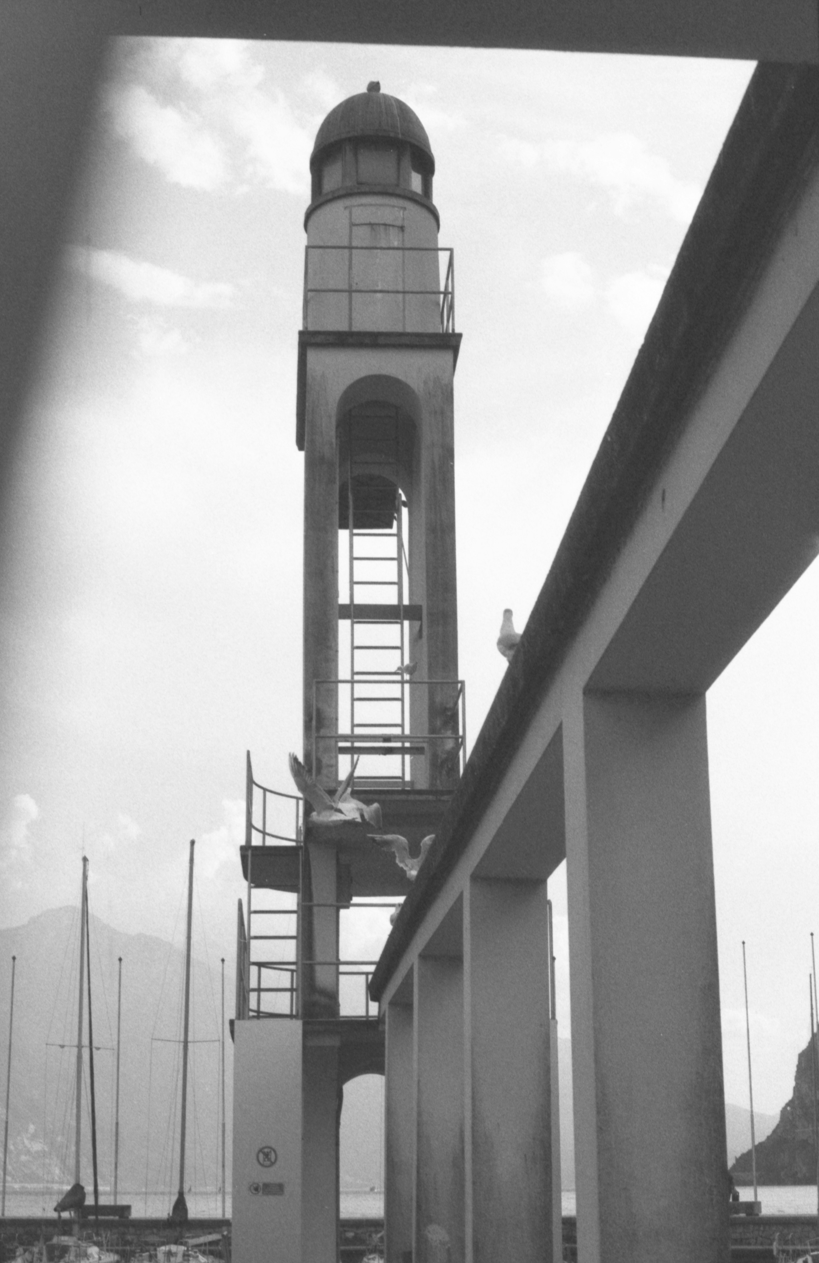 A tall concrete diving tower with seagulls on a pier by a lake
