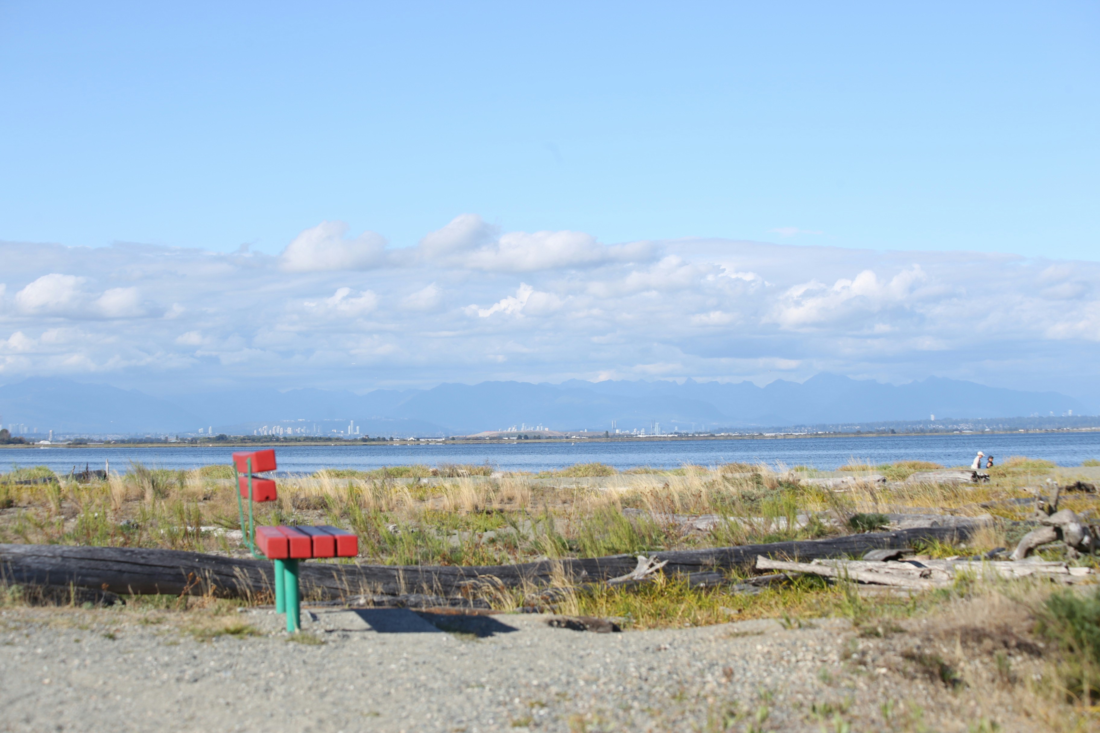 A red bench on a grassy beach overlooking a bay with distant mountains