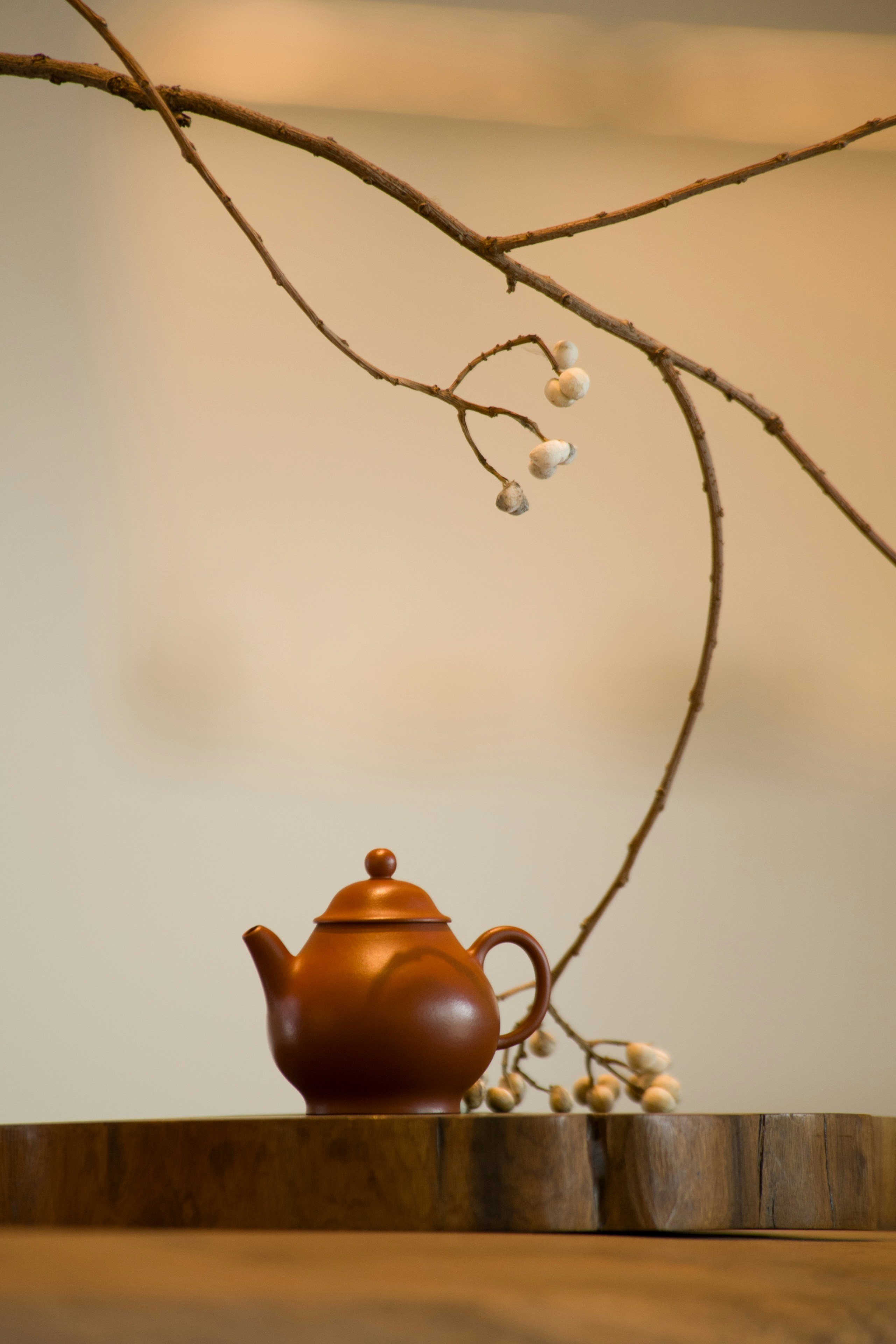 Brown clay teapot on wooden slab - Free Photo on Unsplash