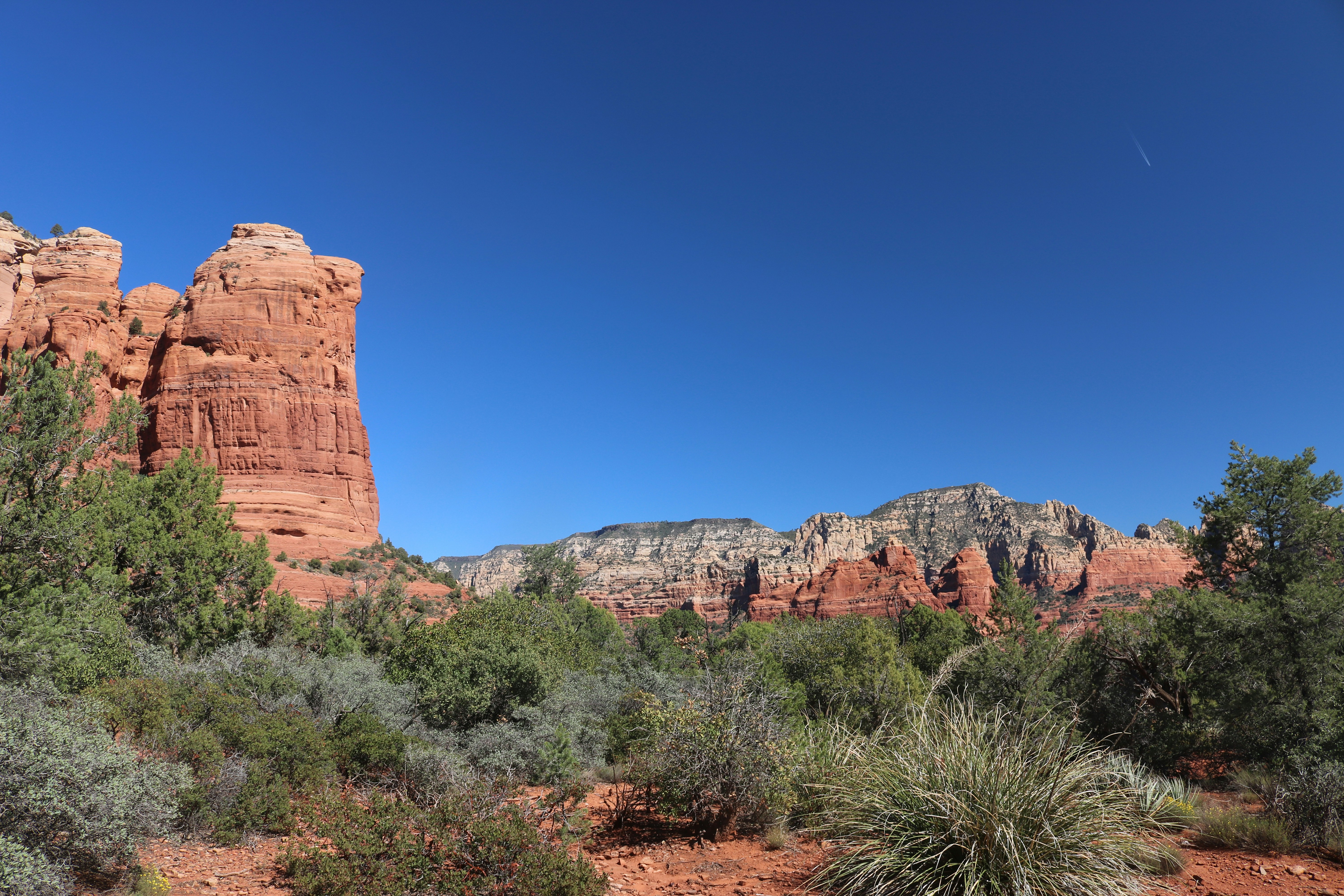 Red Rock Formations and Green Desert Vegetation Under