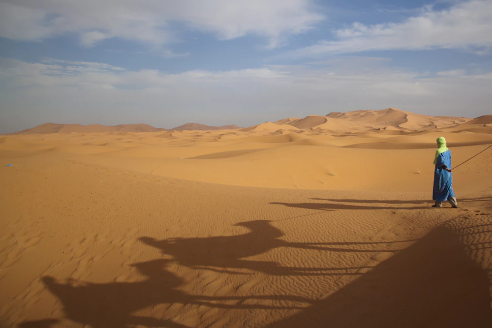 A guide walking across the orange dunes of the Sahara