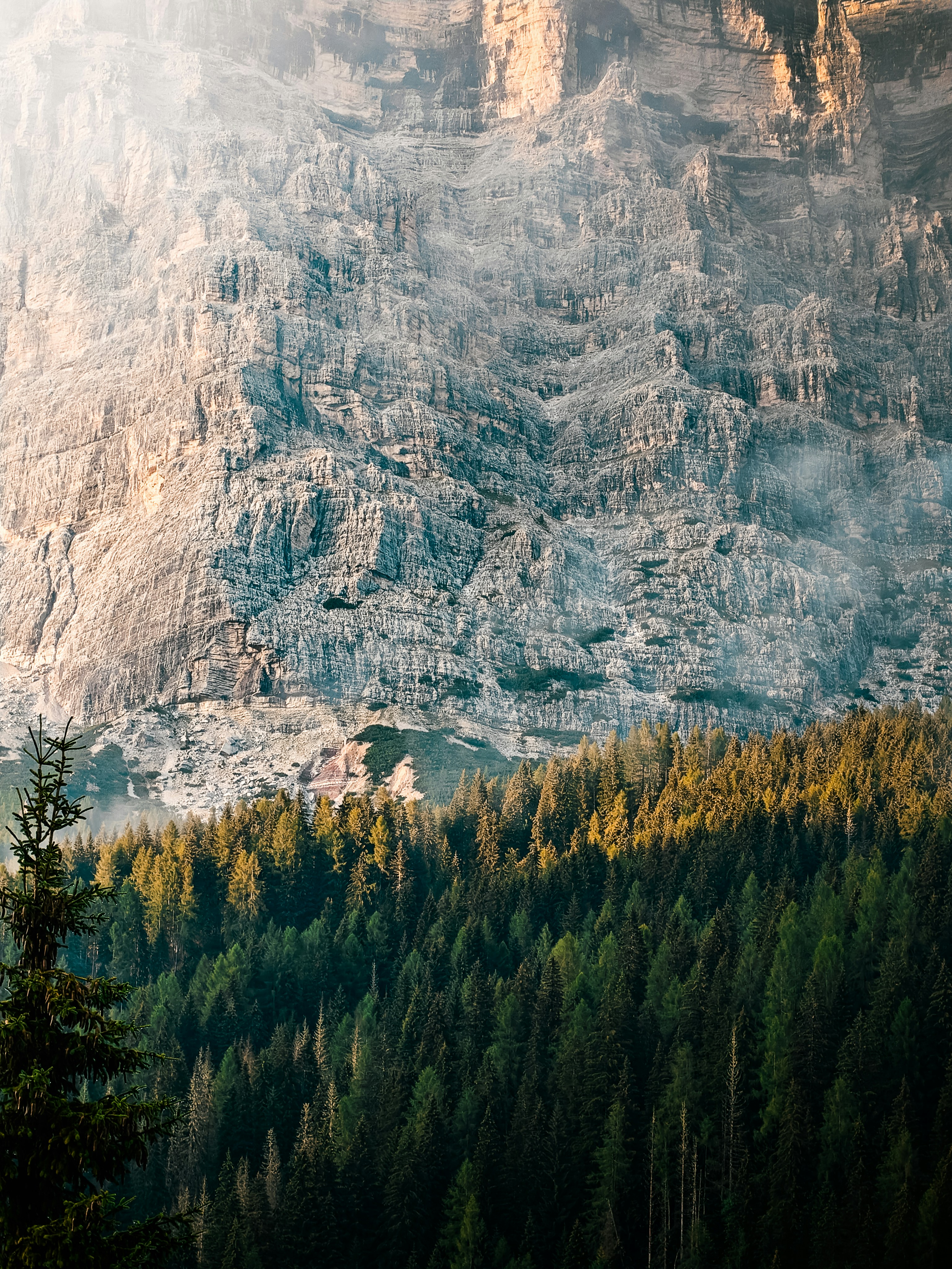 A dense coniferous forest below a massive, rugged, light-colored mountain cliff face