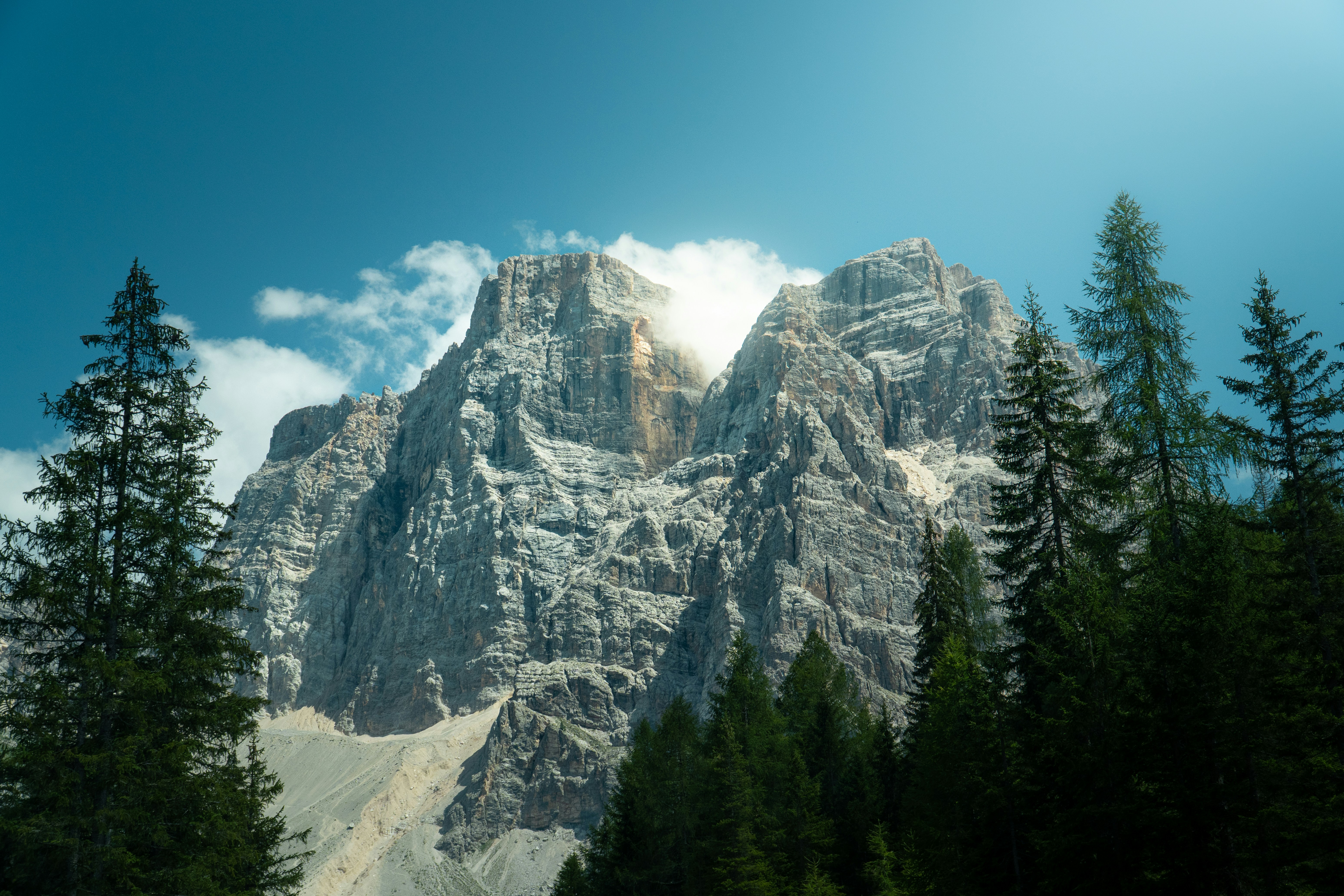 A jagged rocky mountain peak rising above a forest of tall pine trees