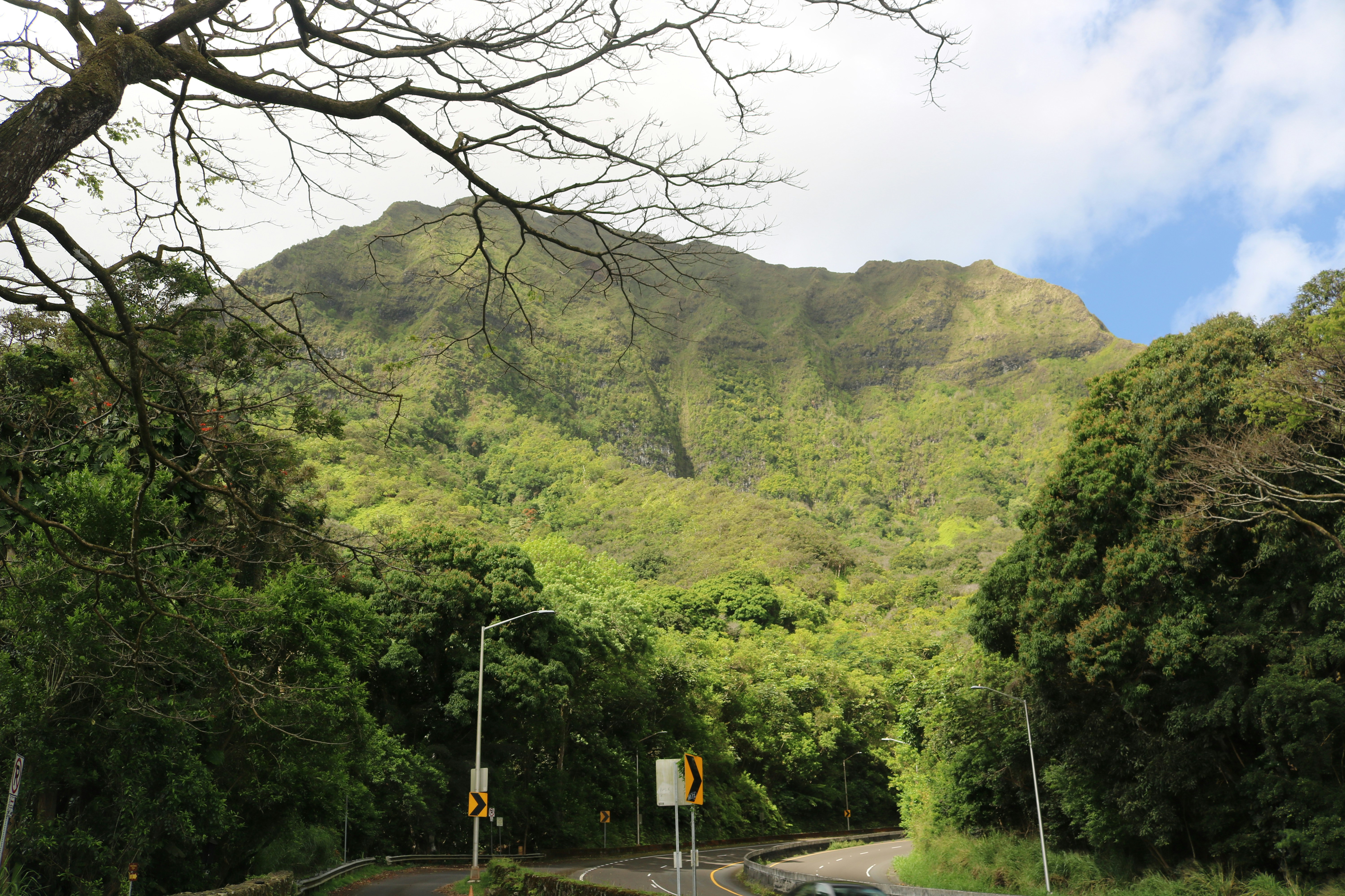 A winding road through a lush green valley beneath a steep mountain slope