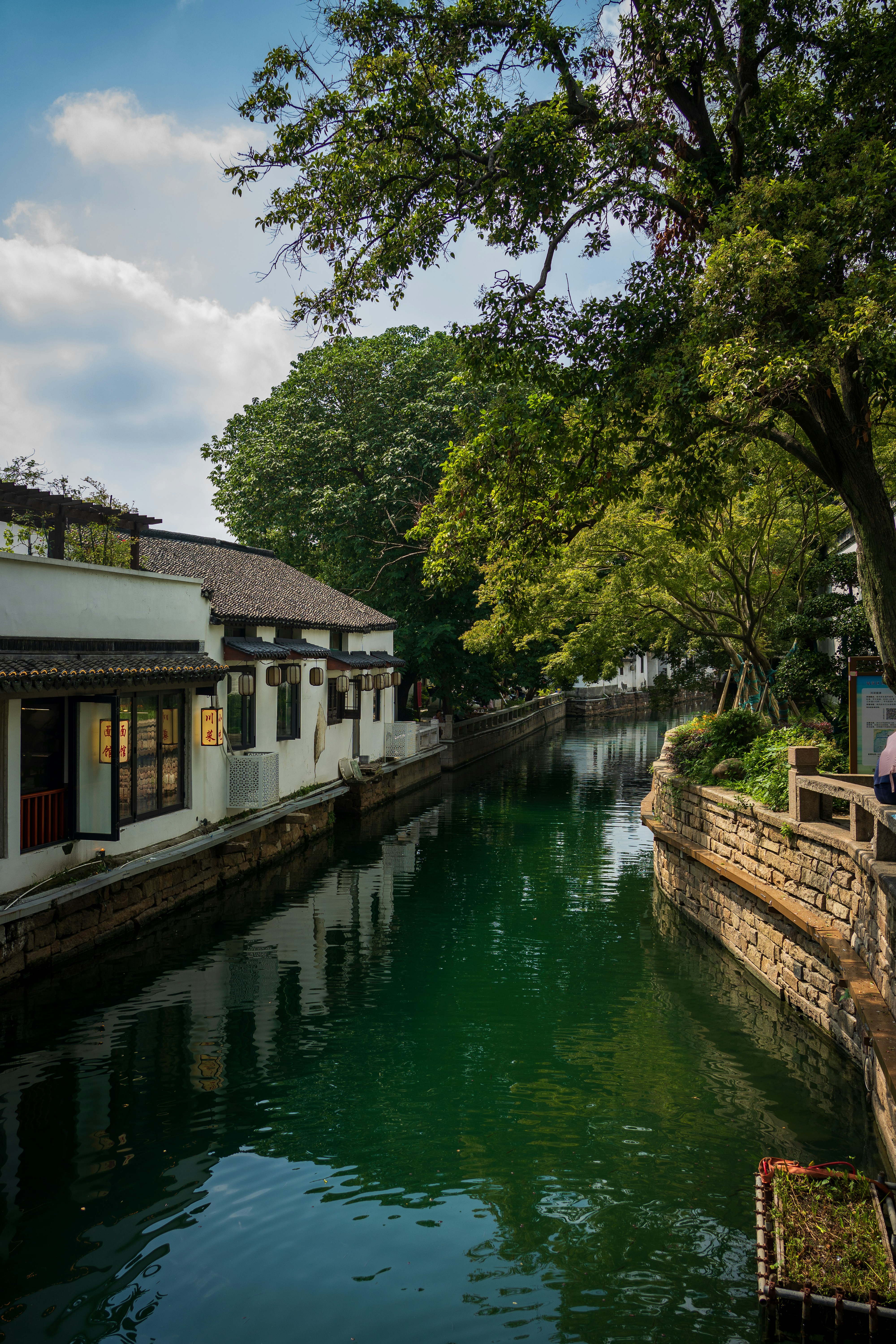 A canal with green water flowing past white buildings and lush trees