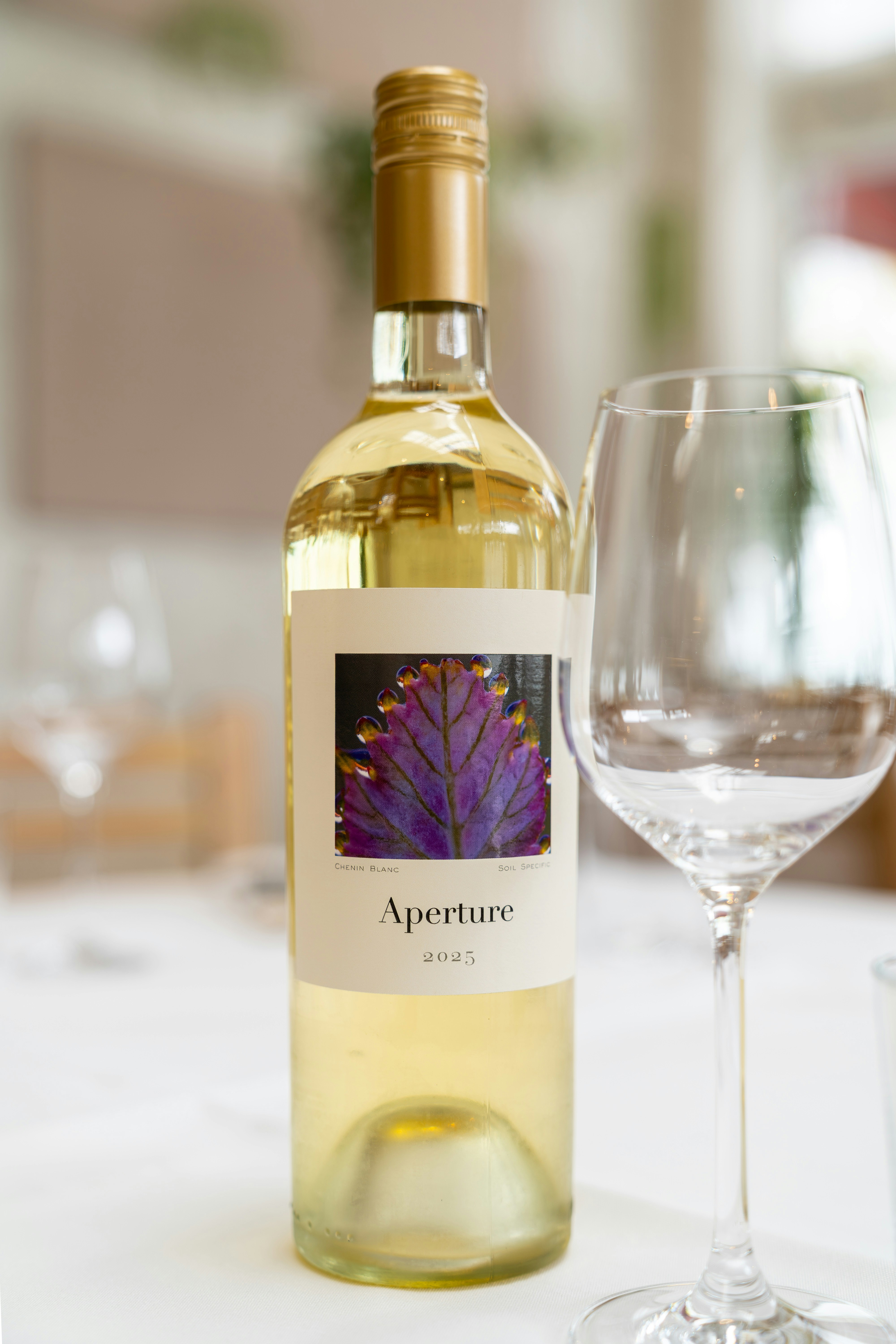 A bottle of white wine with a purple leaf label beside a glass