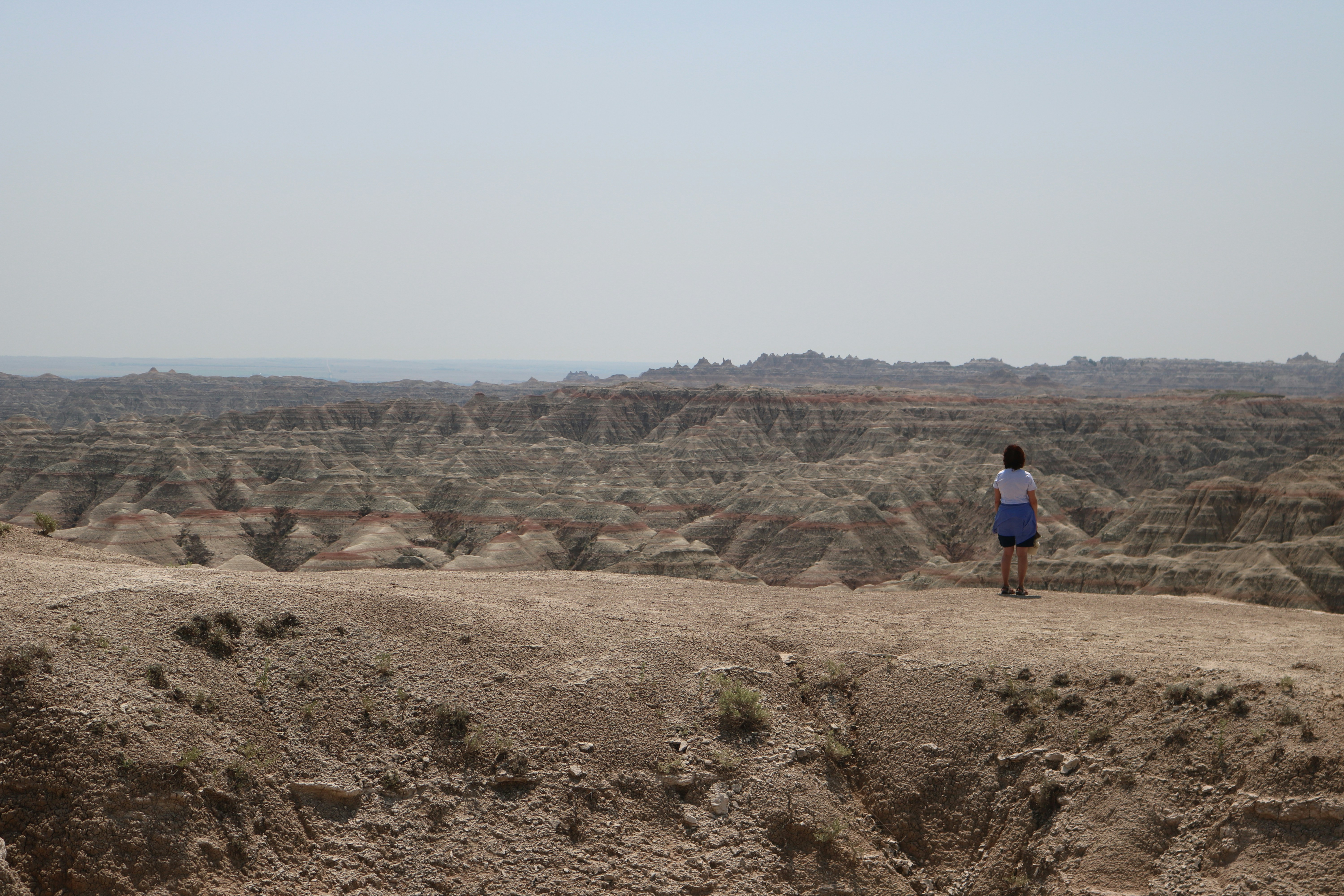 A person looking out over the layered rock formations of Badlands National Park