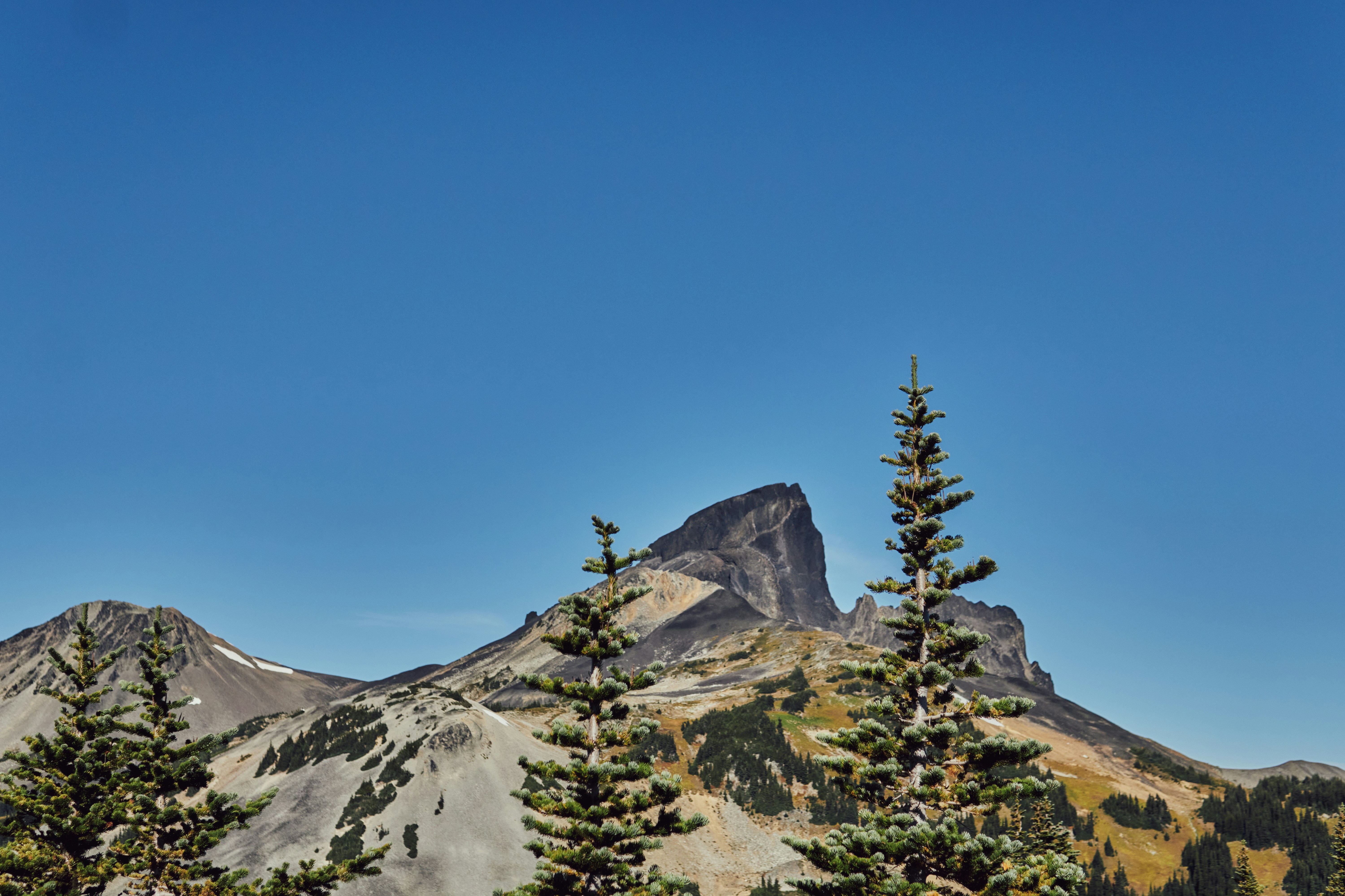 Three evergreen trees in the foreground of a jagged mountain peak under clear sky