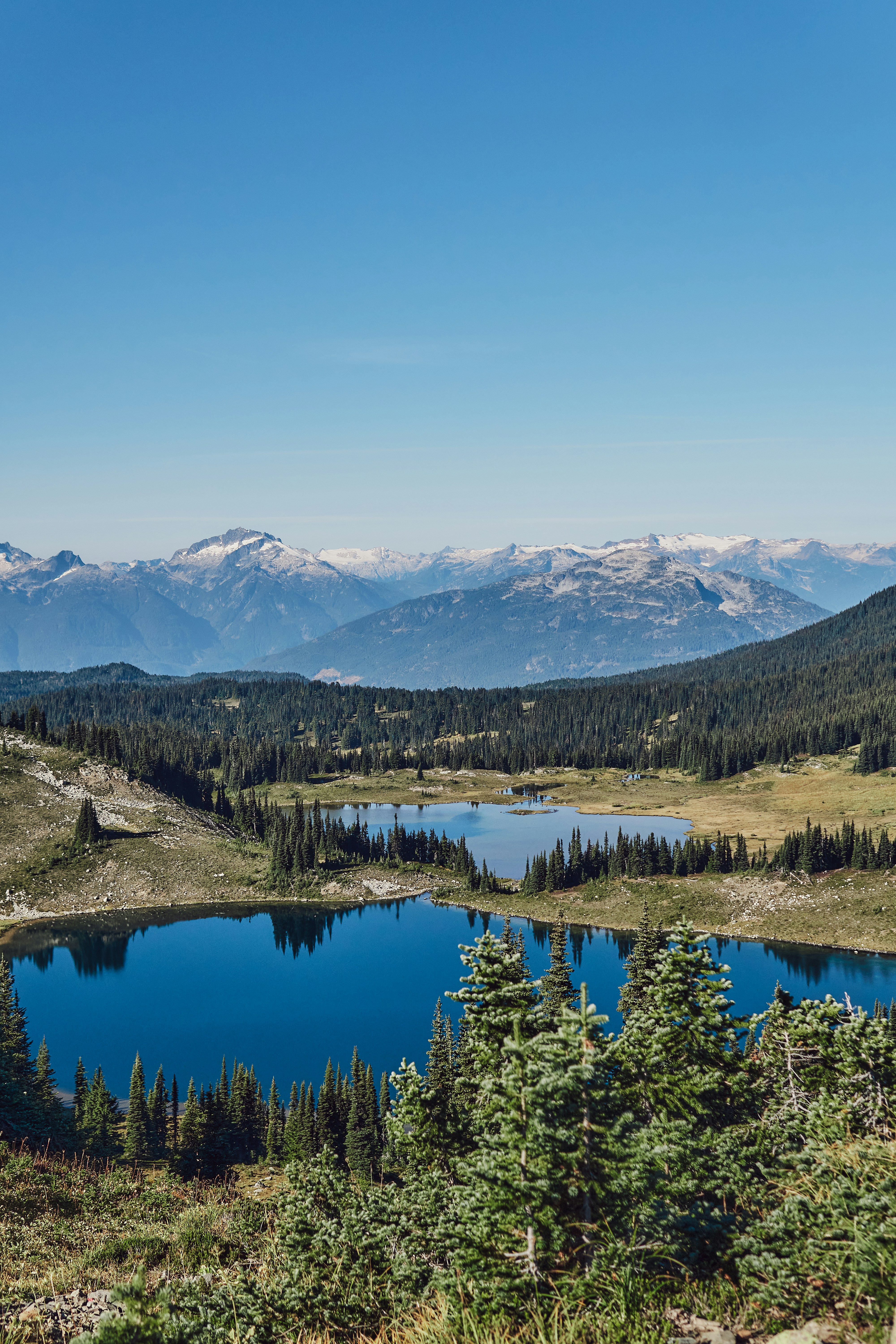 Two deep blue alpine lakes surrounded by evergreen forests and distant snow-capped mountains