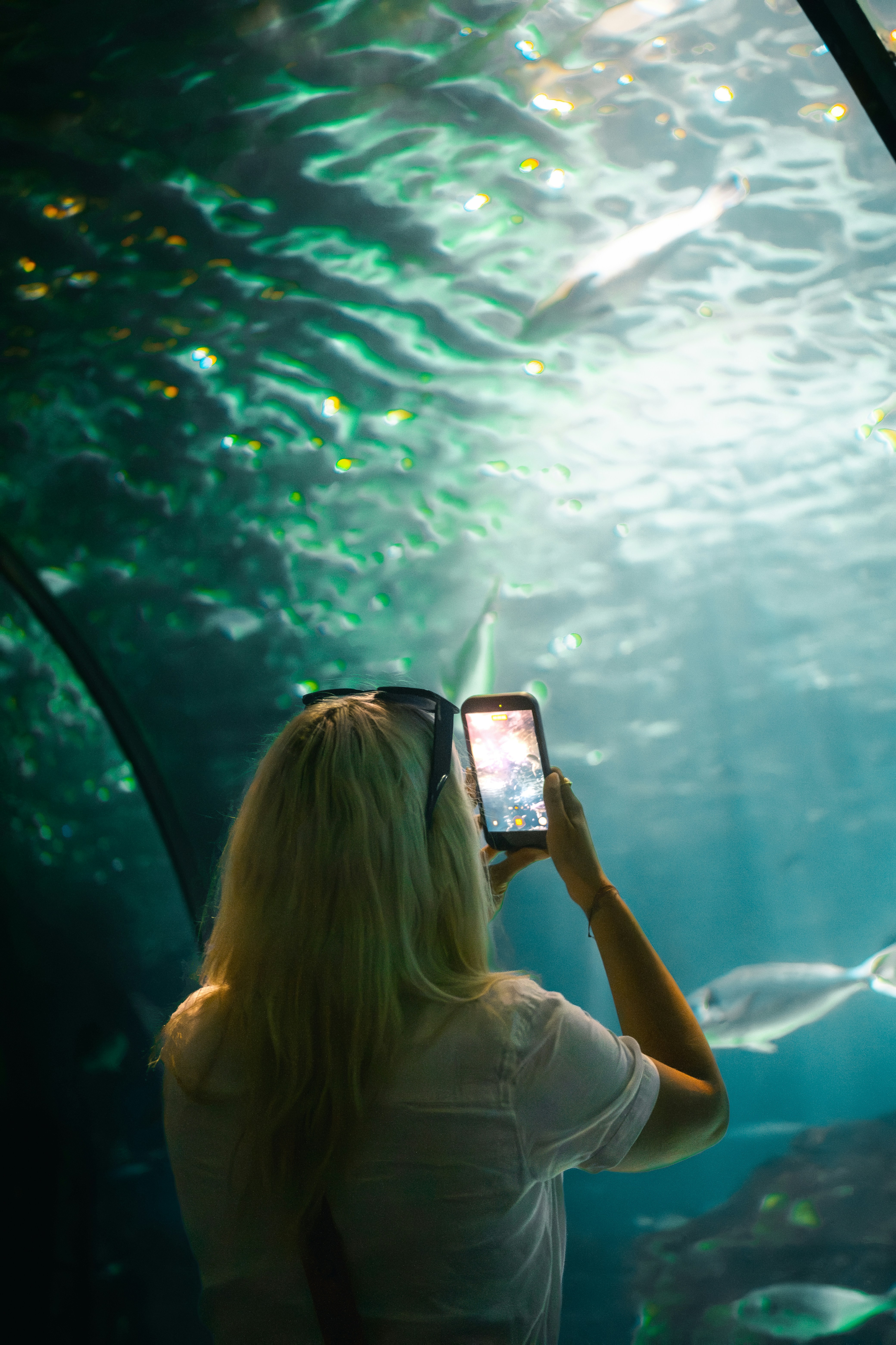Visitante fotografando peixes em túnel de aquário