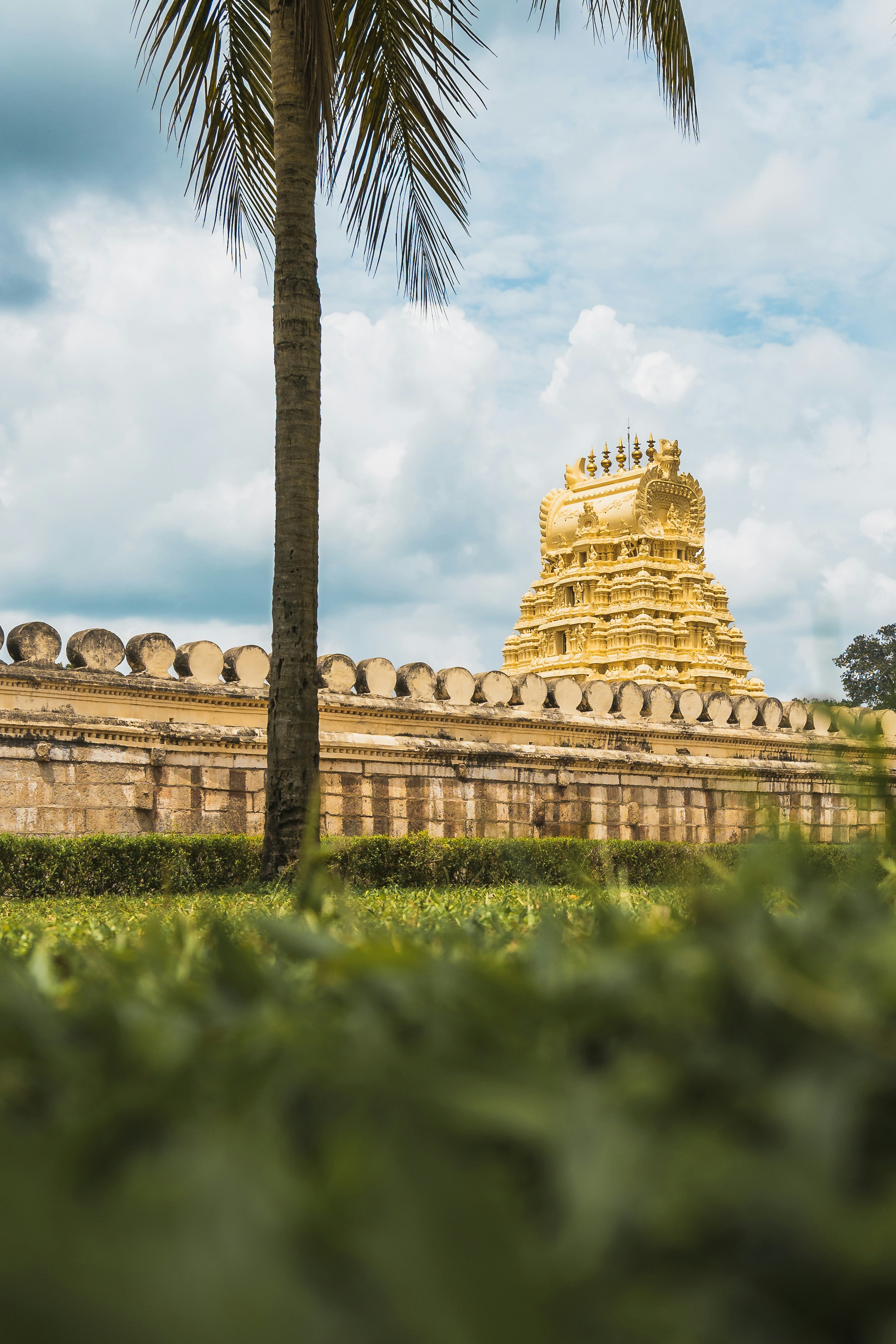 A yellow temple tower rising above a stone wall with a palm tree