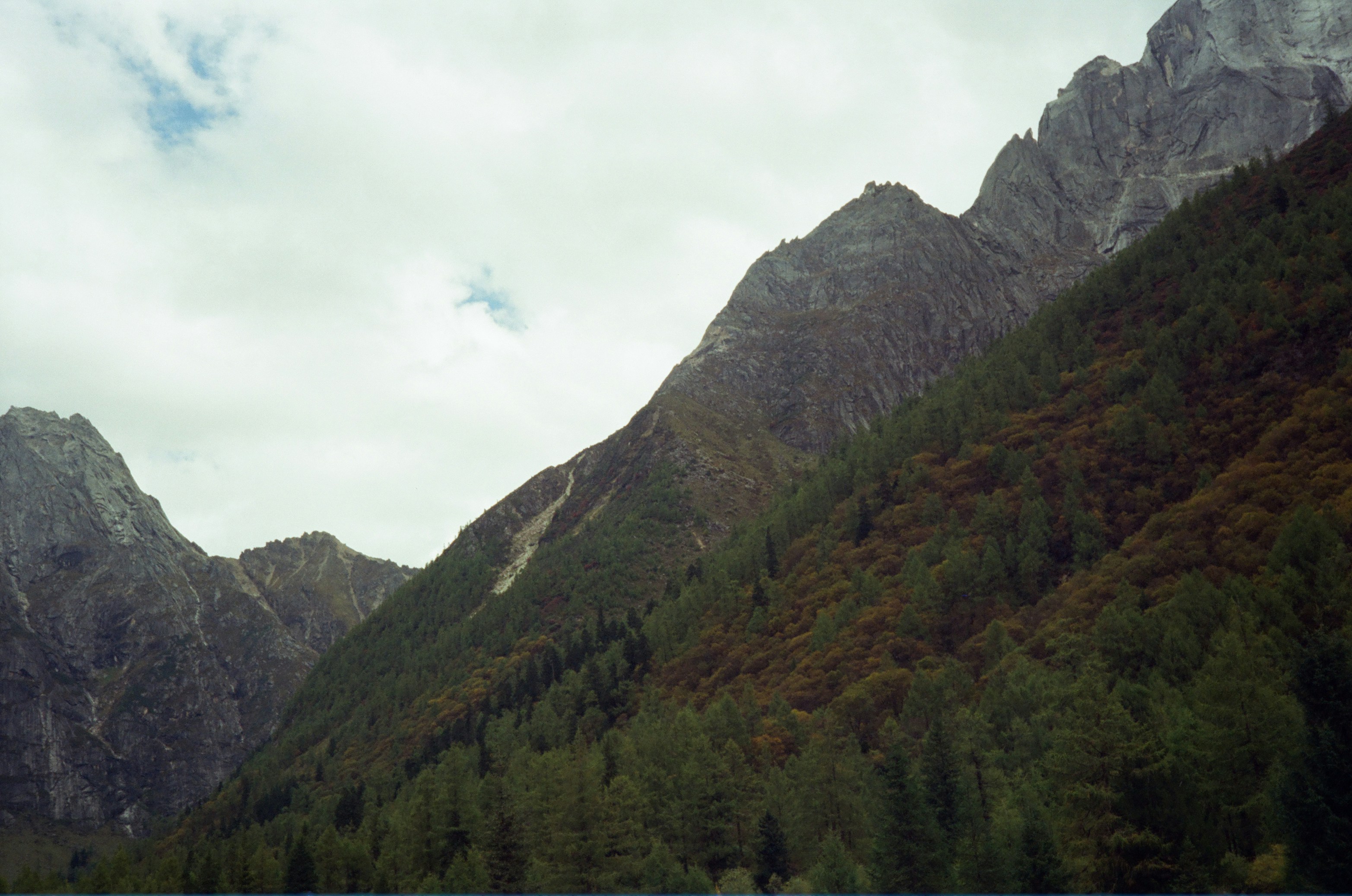 Dense forest on steep mountain slopes below rugged rocky peaks under overcast sky