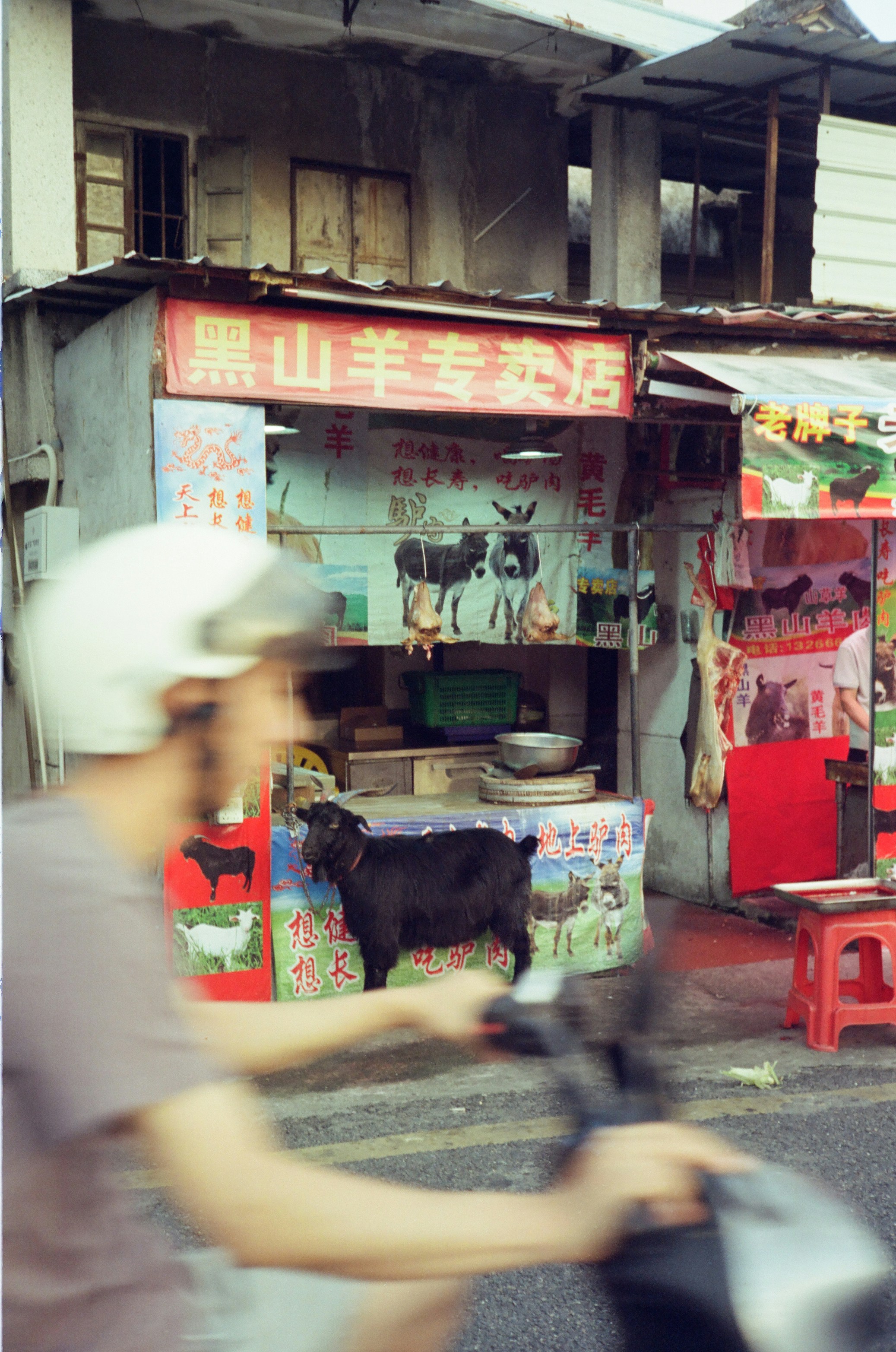 A black goat outside a butcher shop with a person riding a scooter