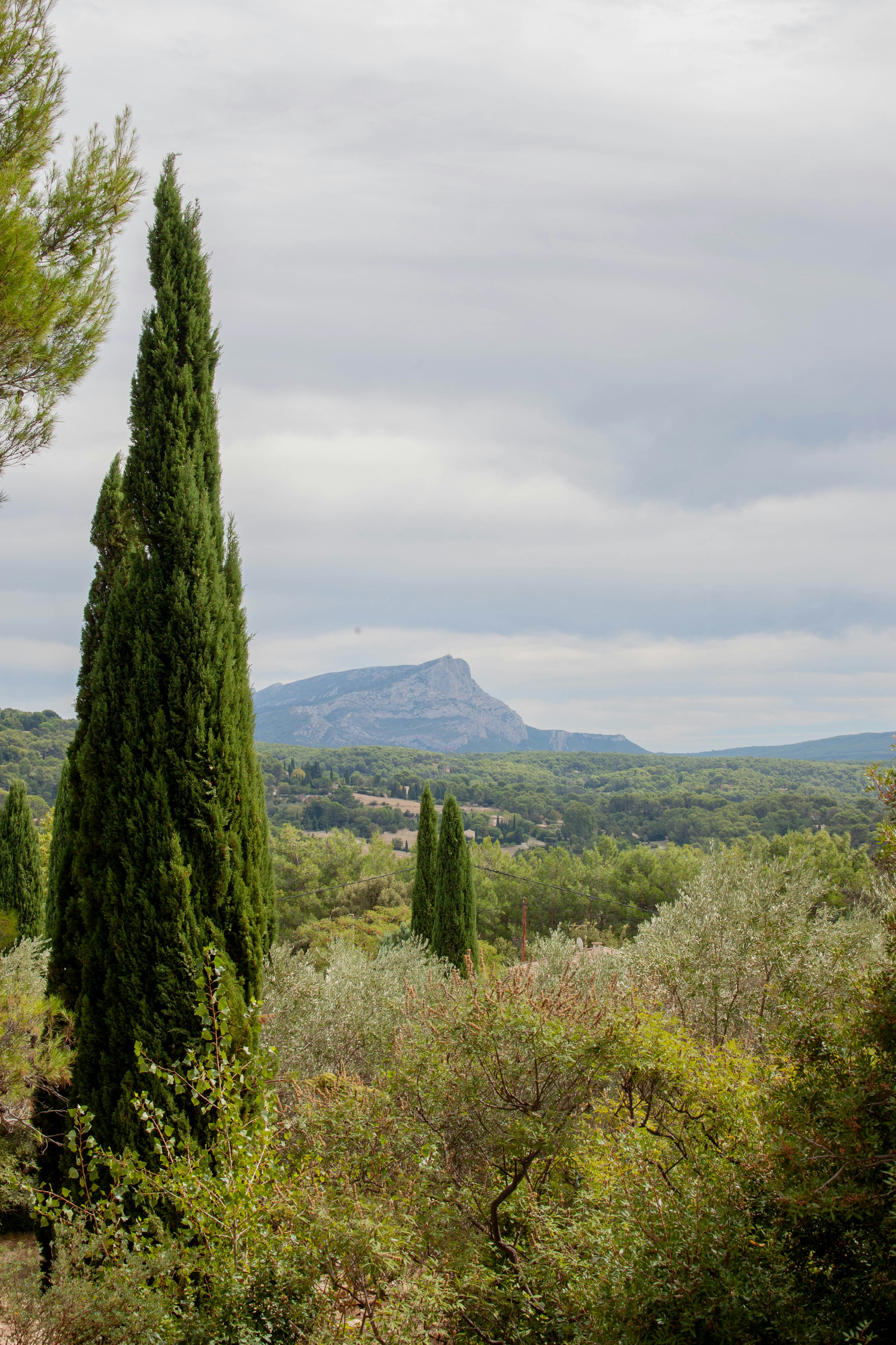 Sentier vers Le Plan de la Tour — La Garde-Freinet