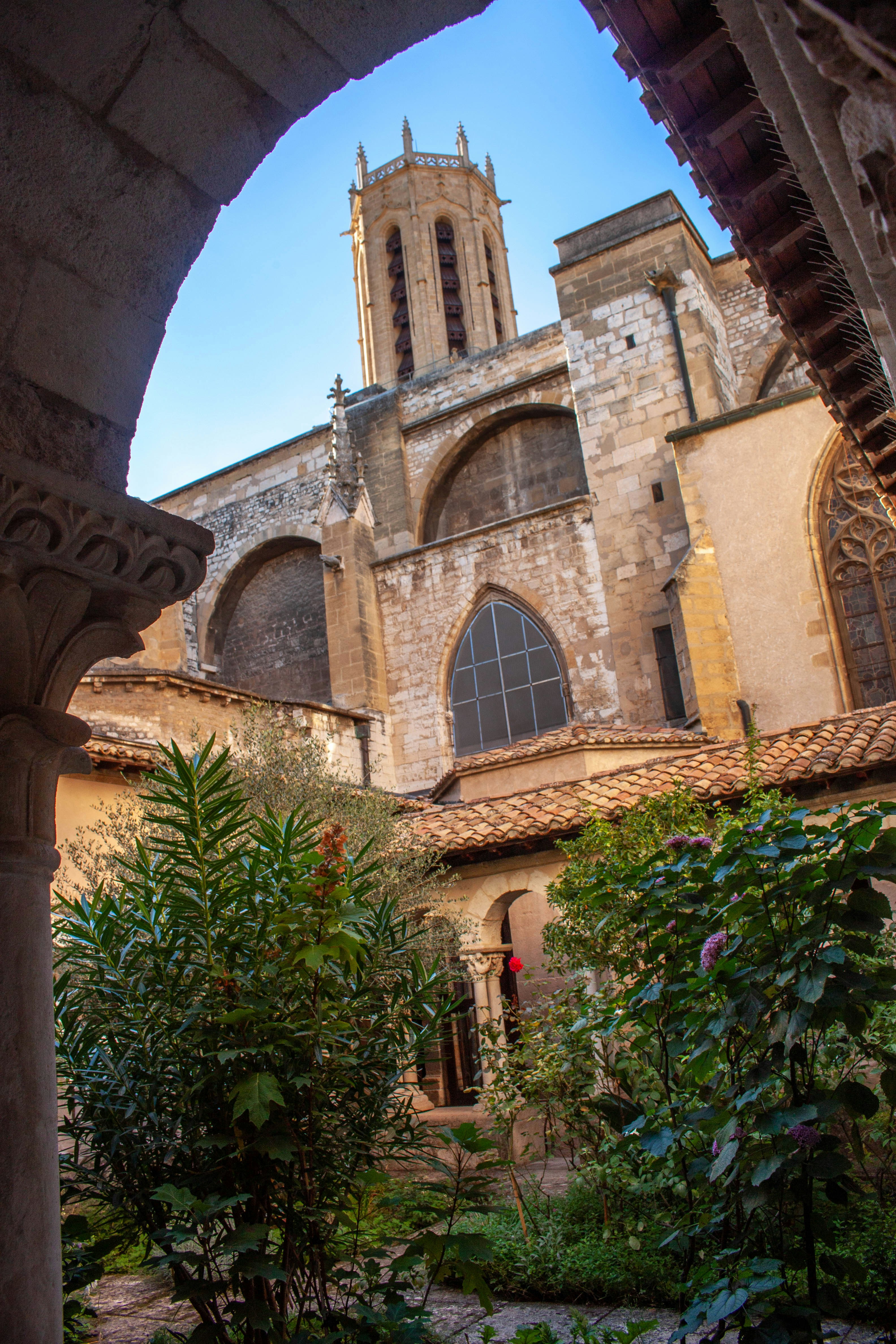 A stone cathedral tower rising above a lush courtyard with green plants