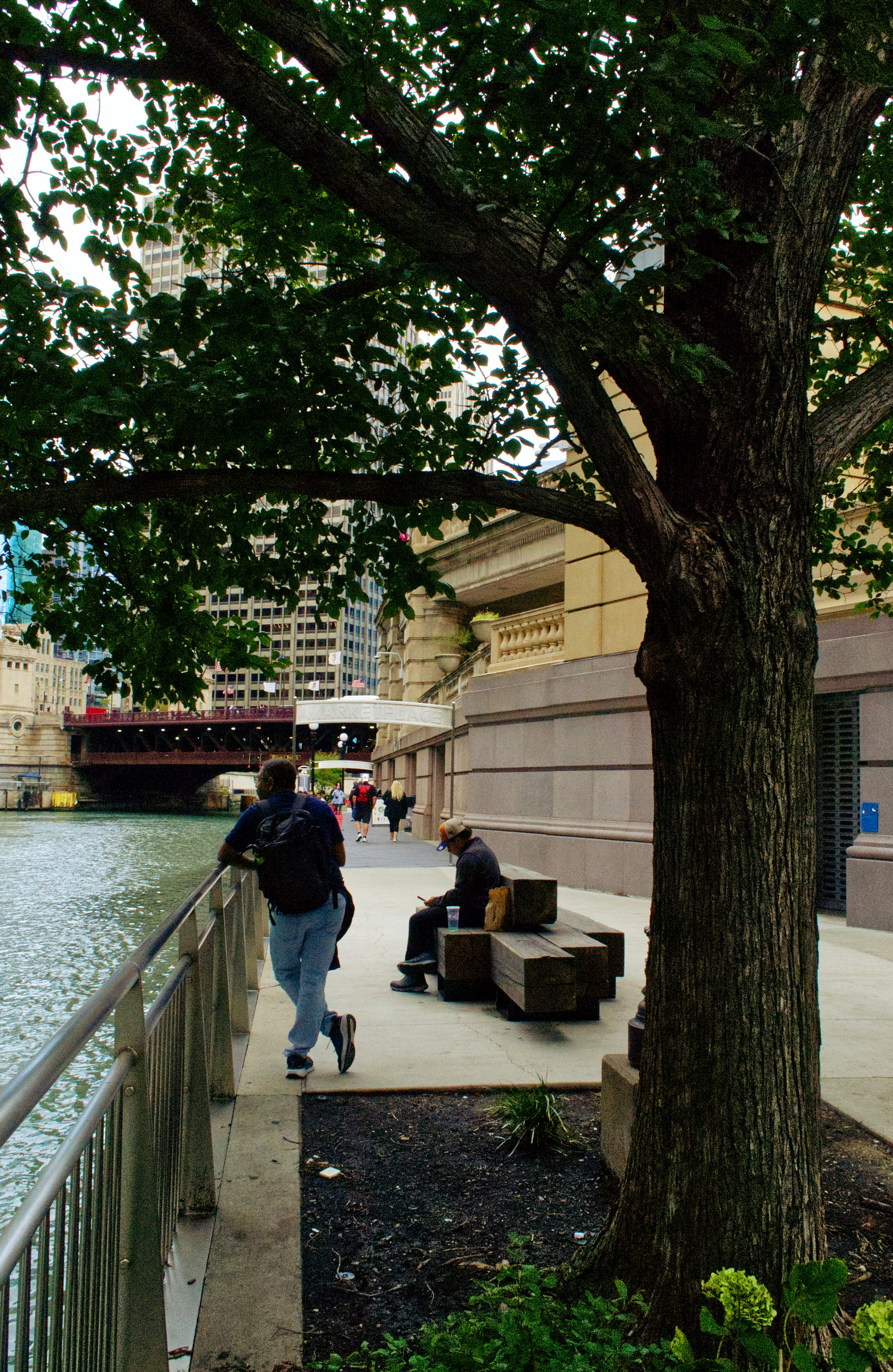 People on a riverwalk near a bridge and tall buildings in Chicago