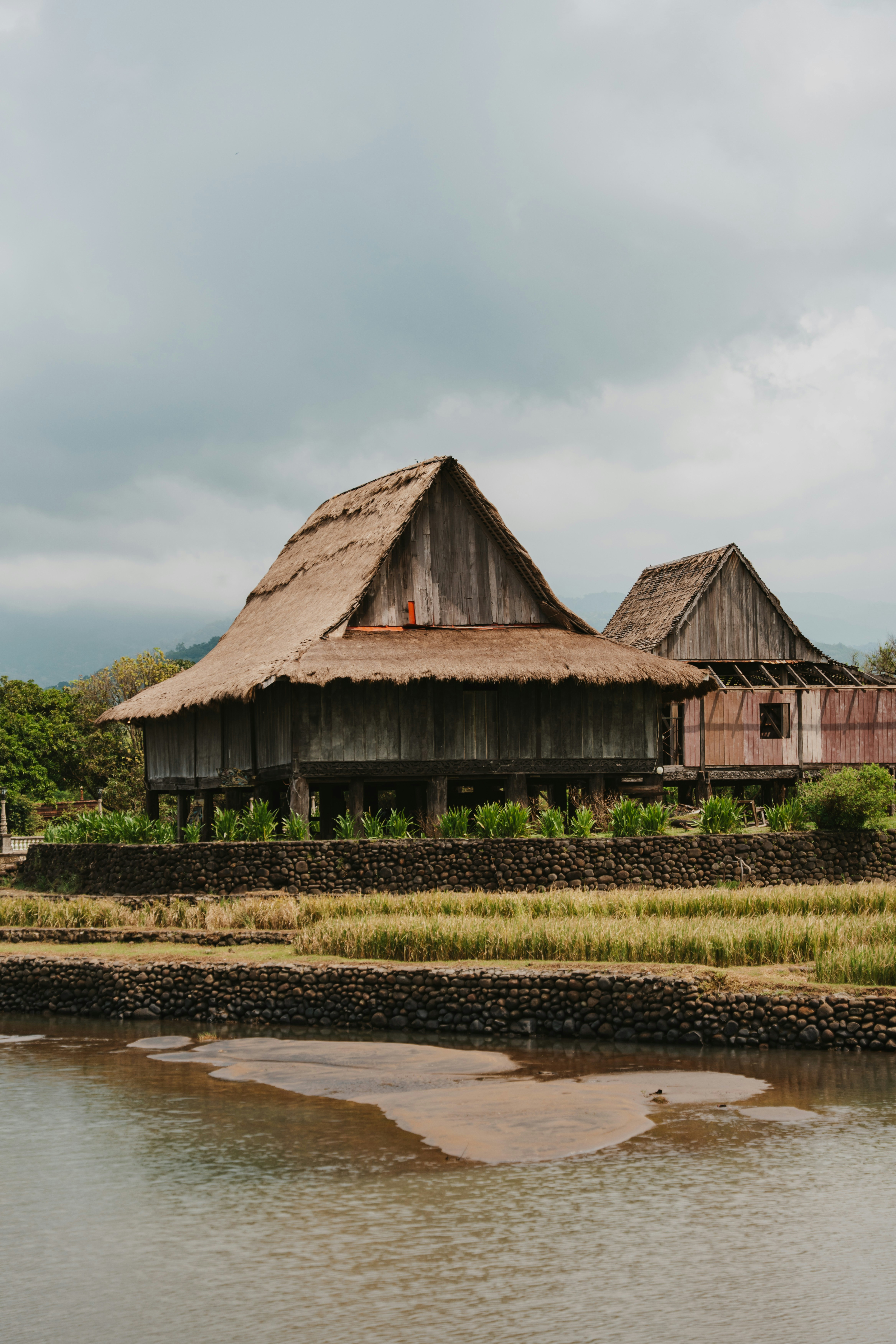 Two traditional wooden houses with thatched roofs on stilts above a rice field