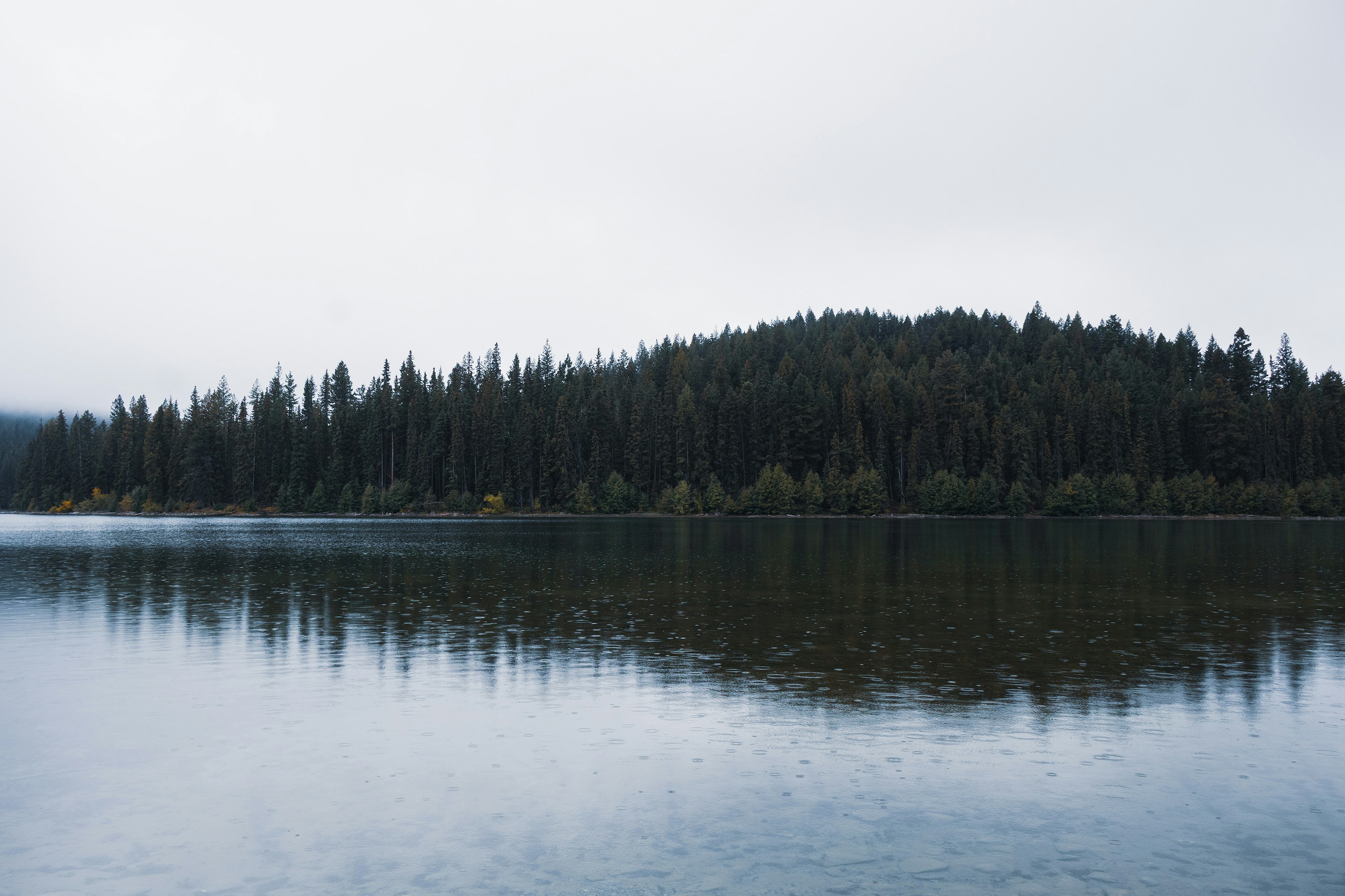 A dark lake with rain ripples under a dense forest and overcast sky