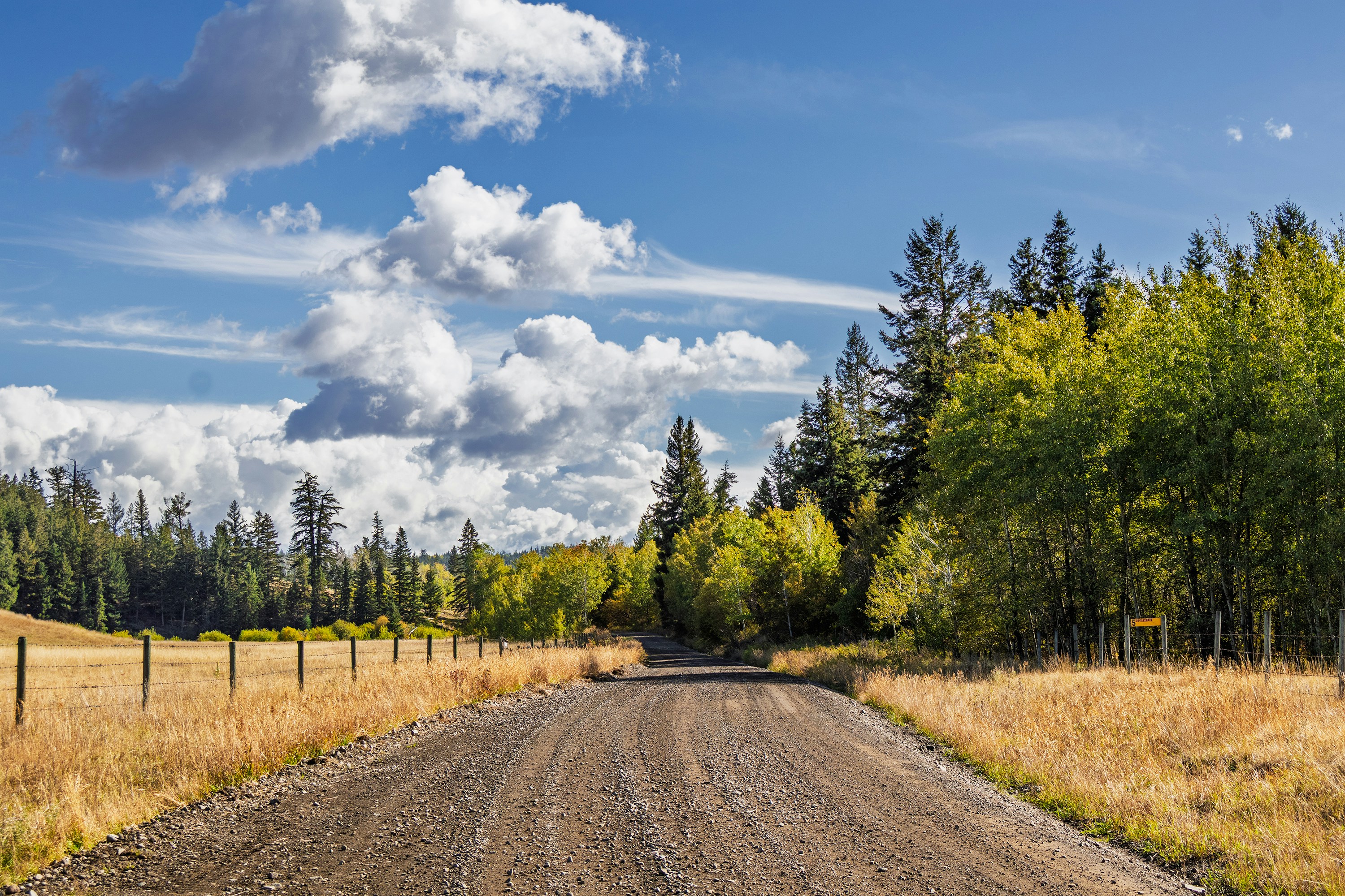 A gravel road winding through golden fields past trees under a cloudy blue sky