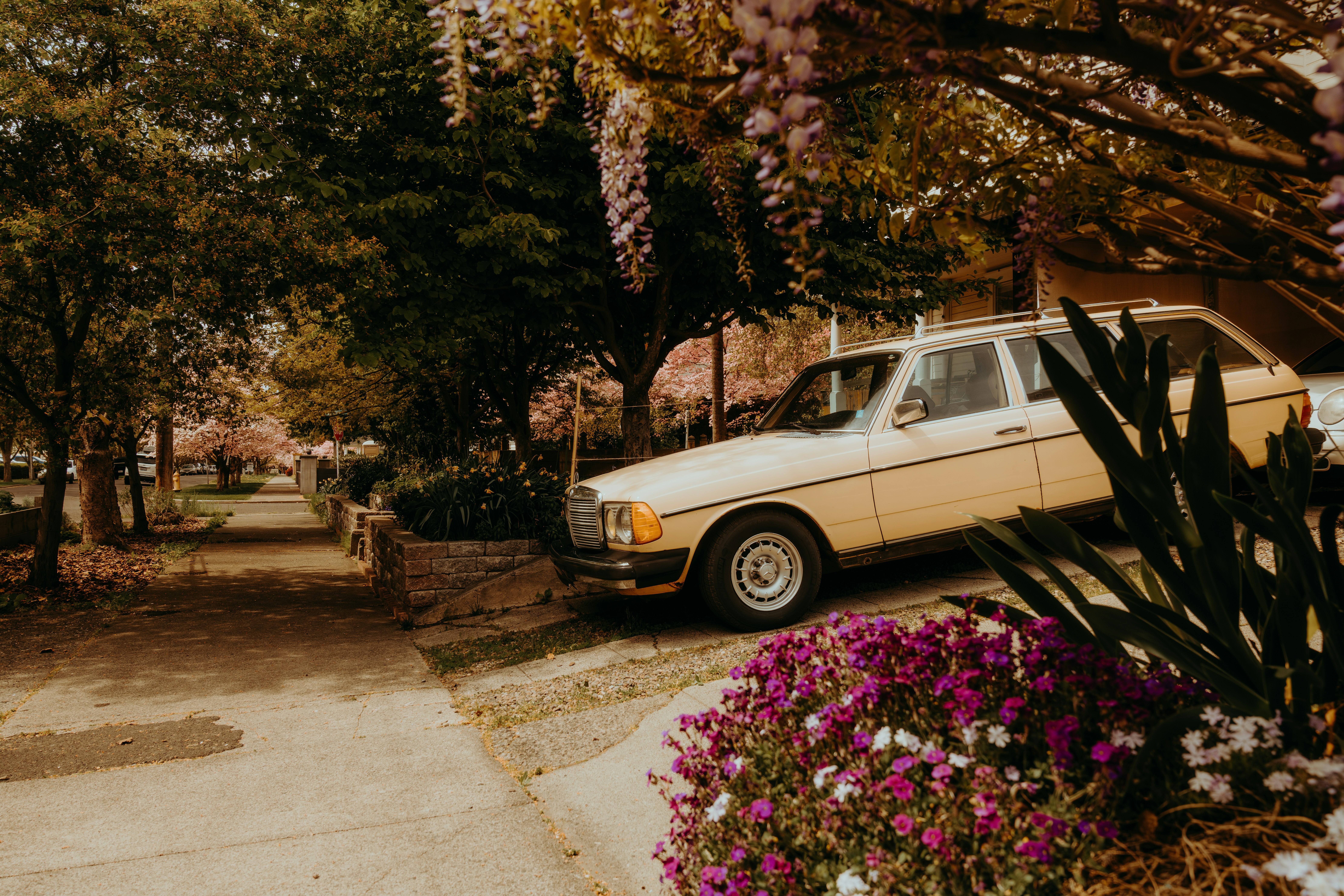 A vintage beige station wagon parked on a driveway beside purple flowers