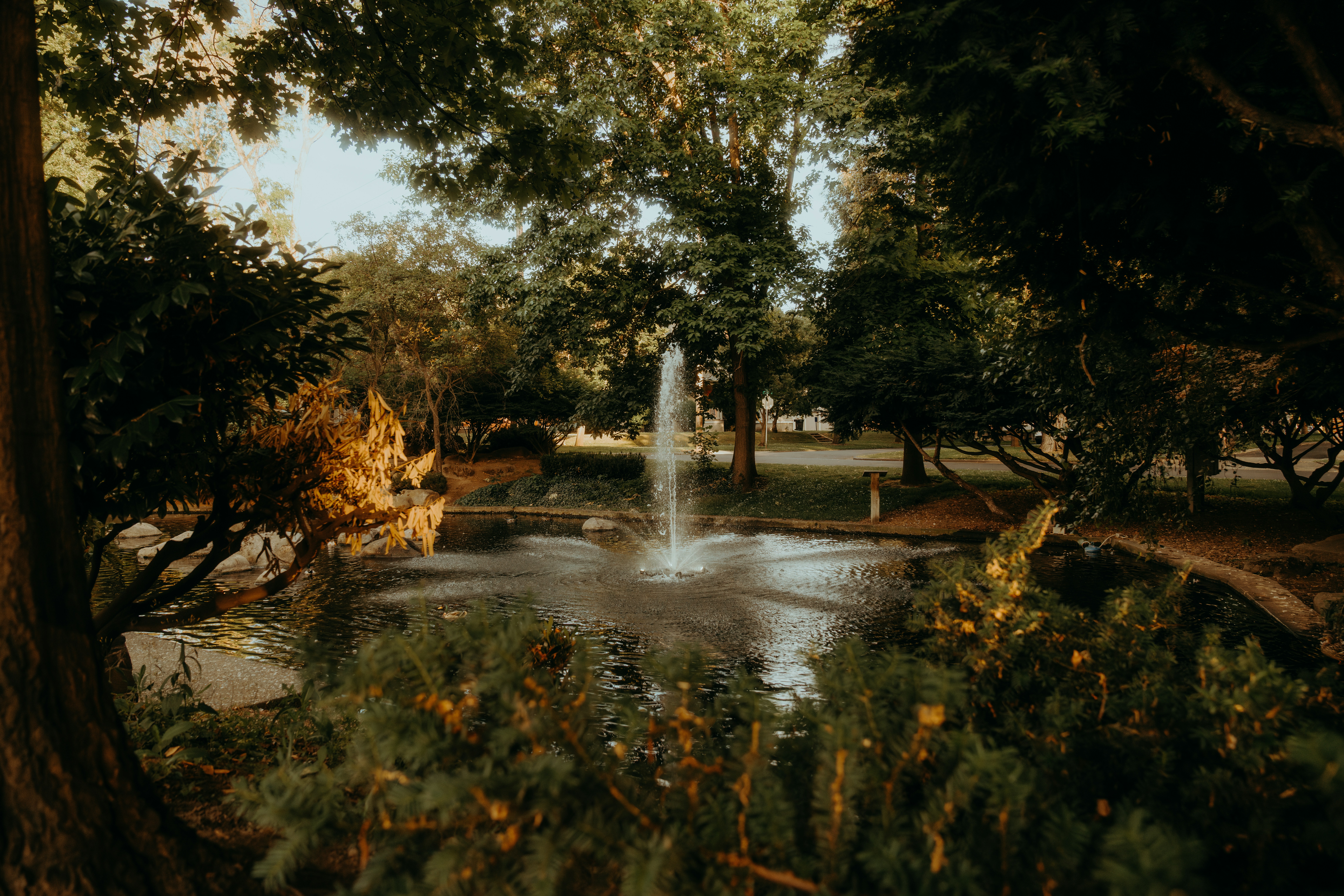 Parc de la Bouzaise — Beaune