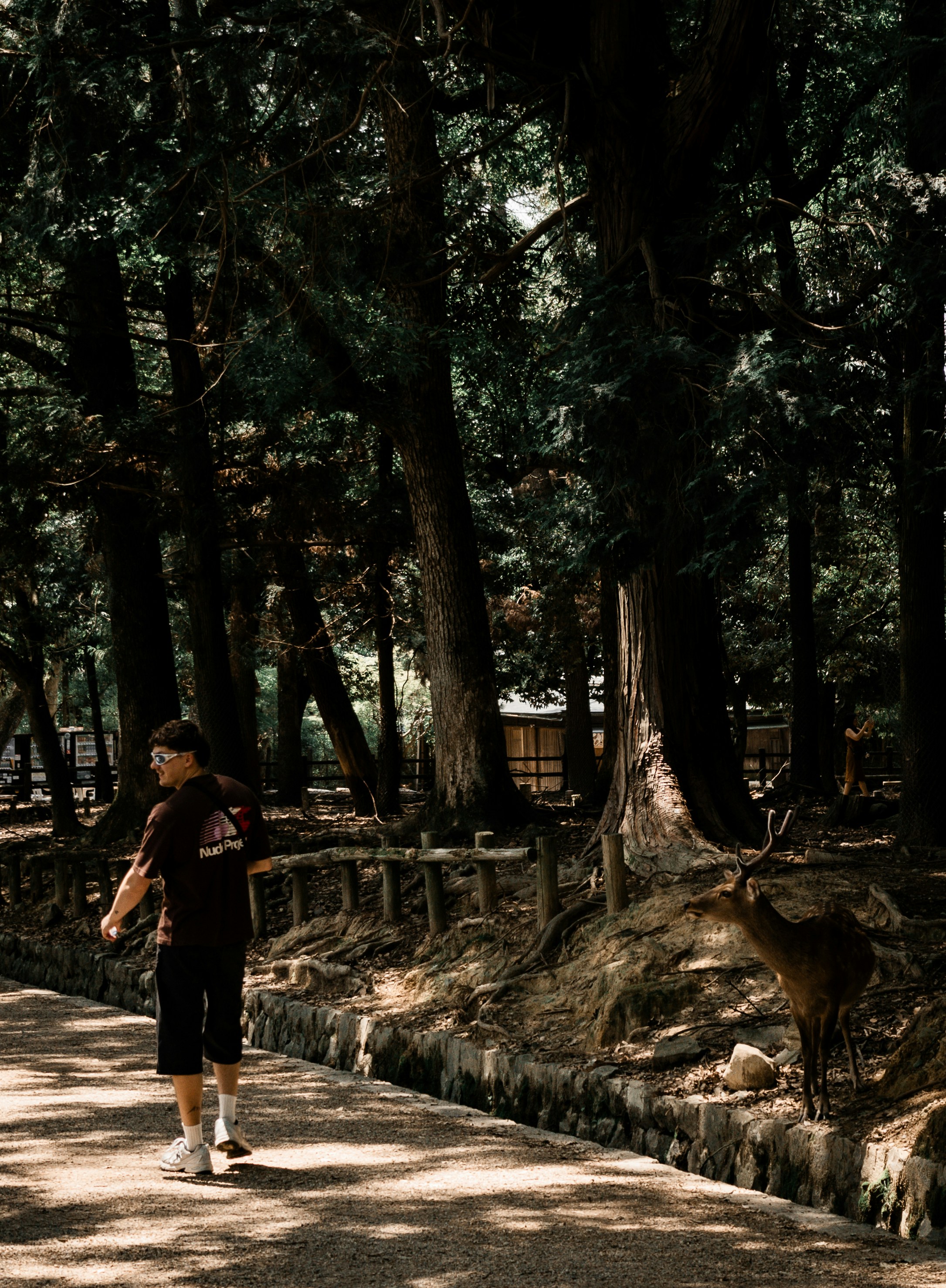 Strandzha: Oak Forests and Fire-Dancer Villages