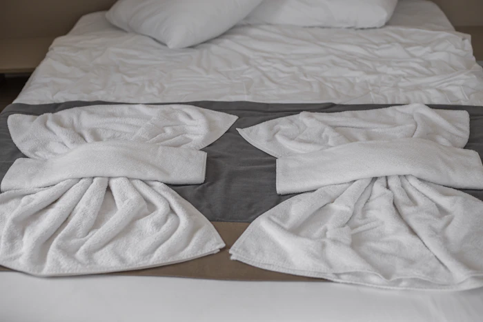 Ménage & Linge