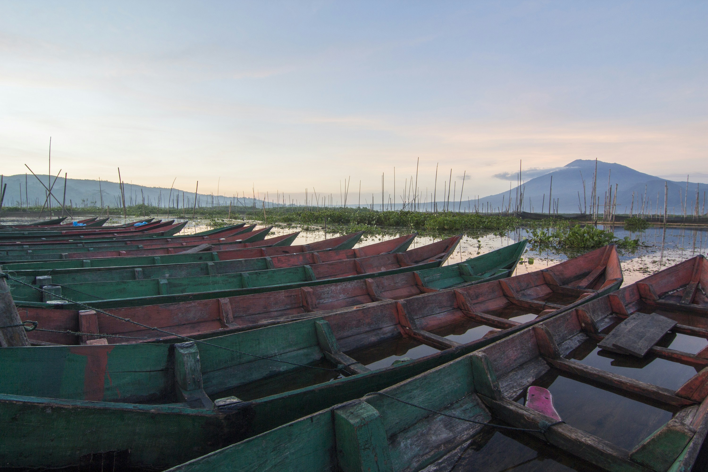 A row of weathered green wooden boats on calm water before a distant mountain