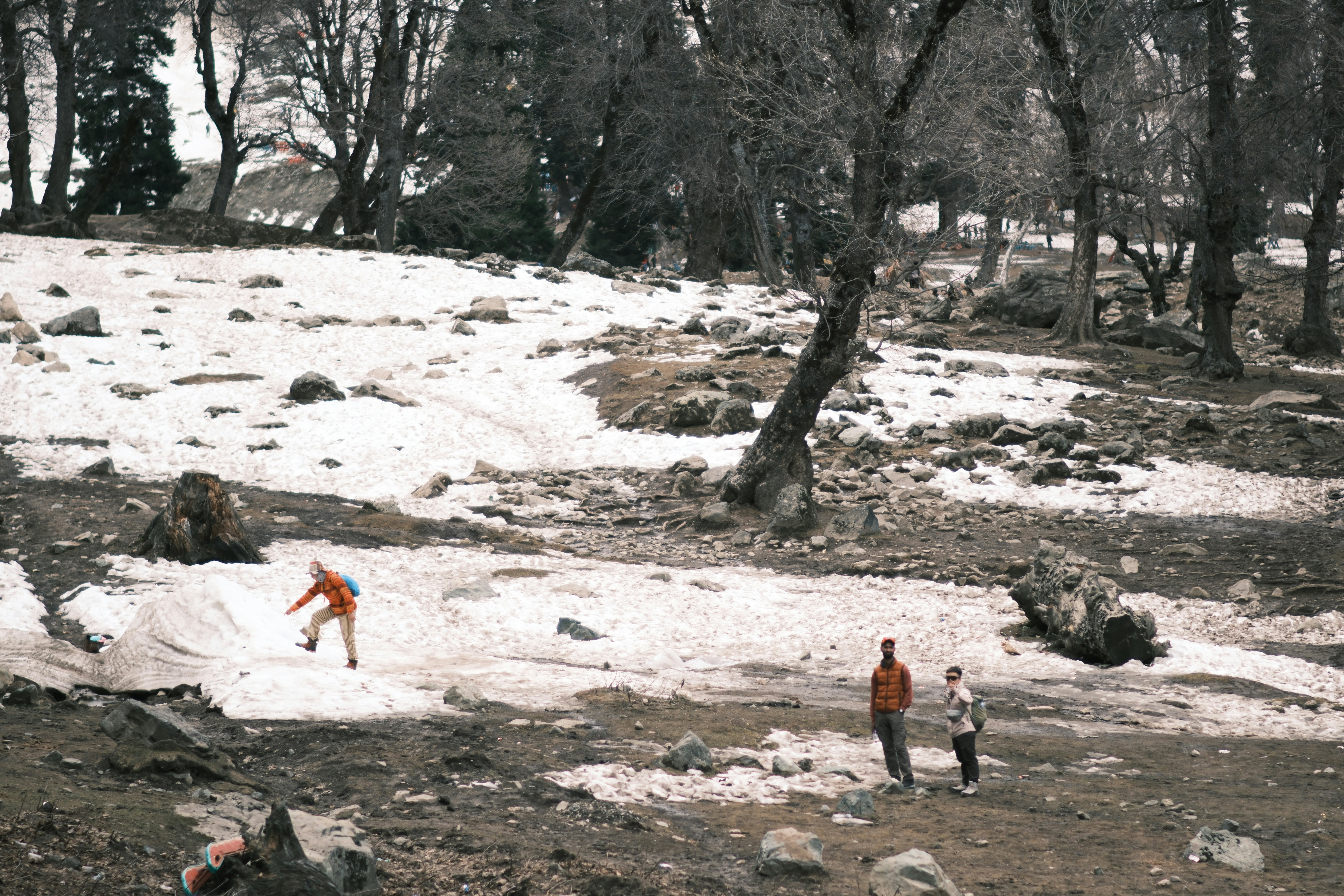 Three people in a snowy, rocky forest with bare trees and patches of ice