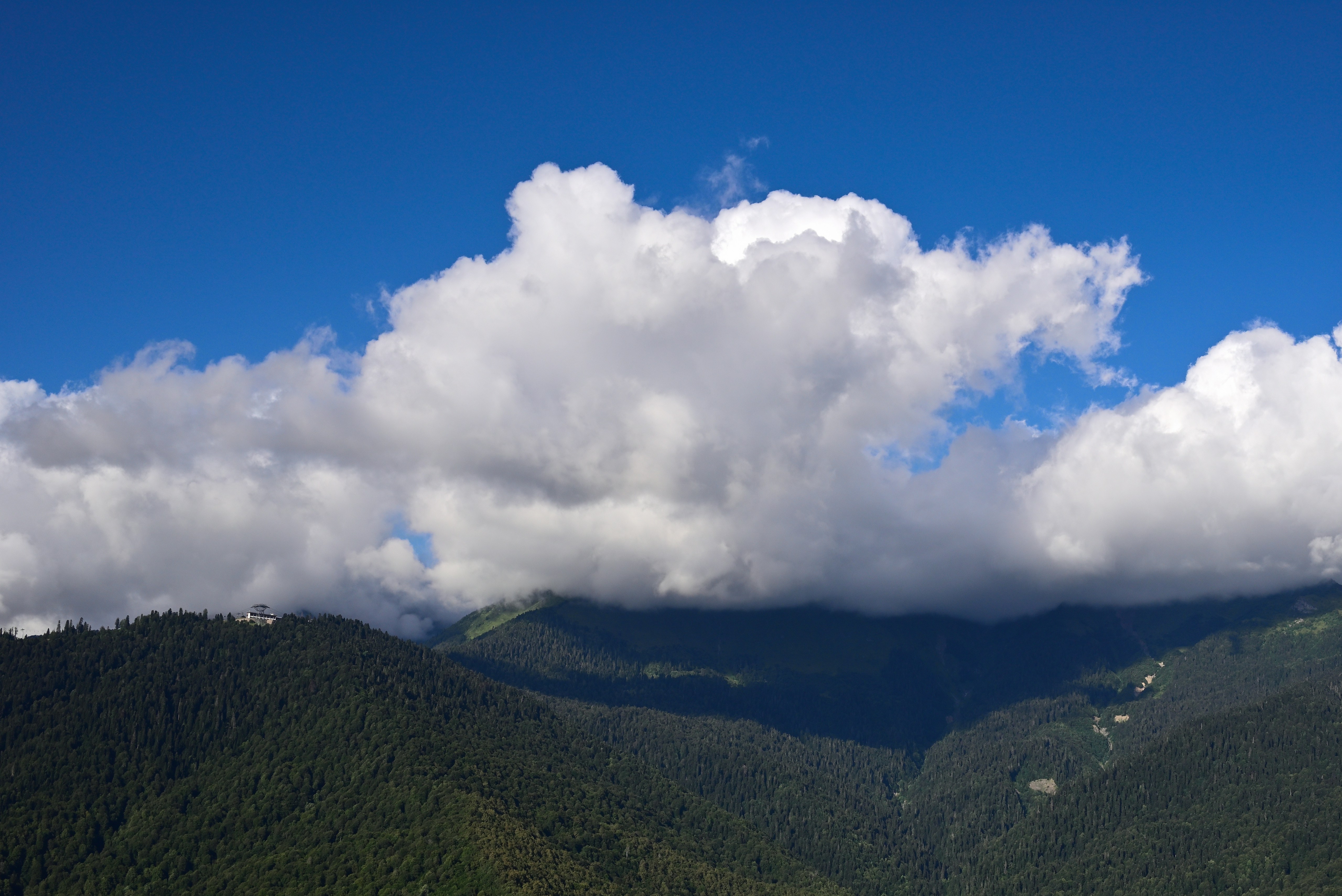 White clouds drifting over a dense green forest on a mountain slope