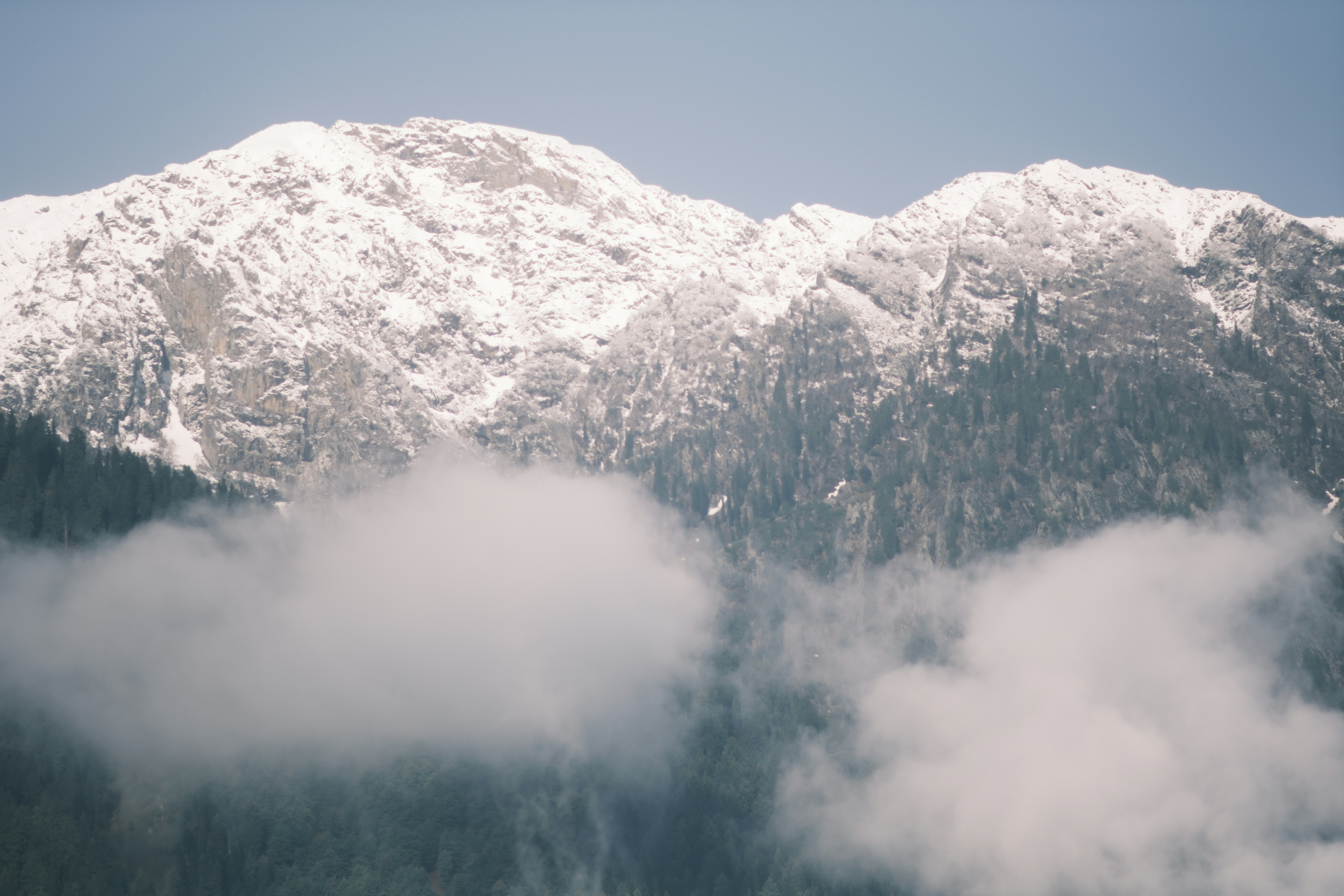 Snow-capped mountain peaks rising above a dense forest partially obscured by low clouds