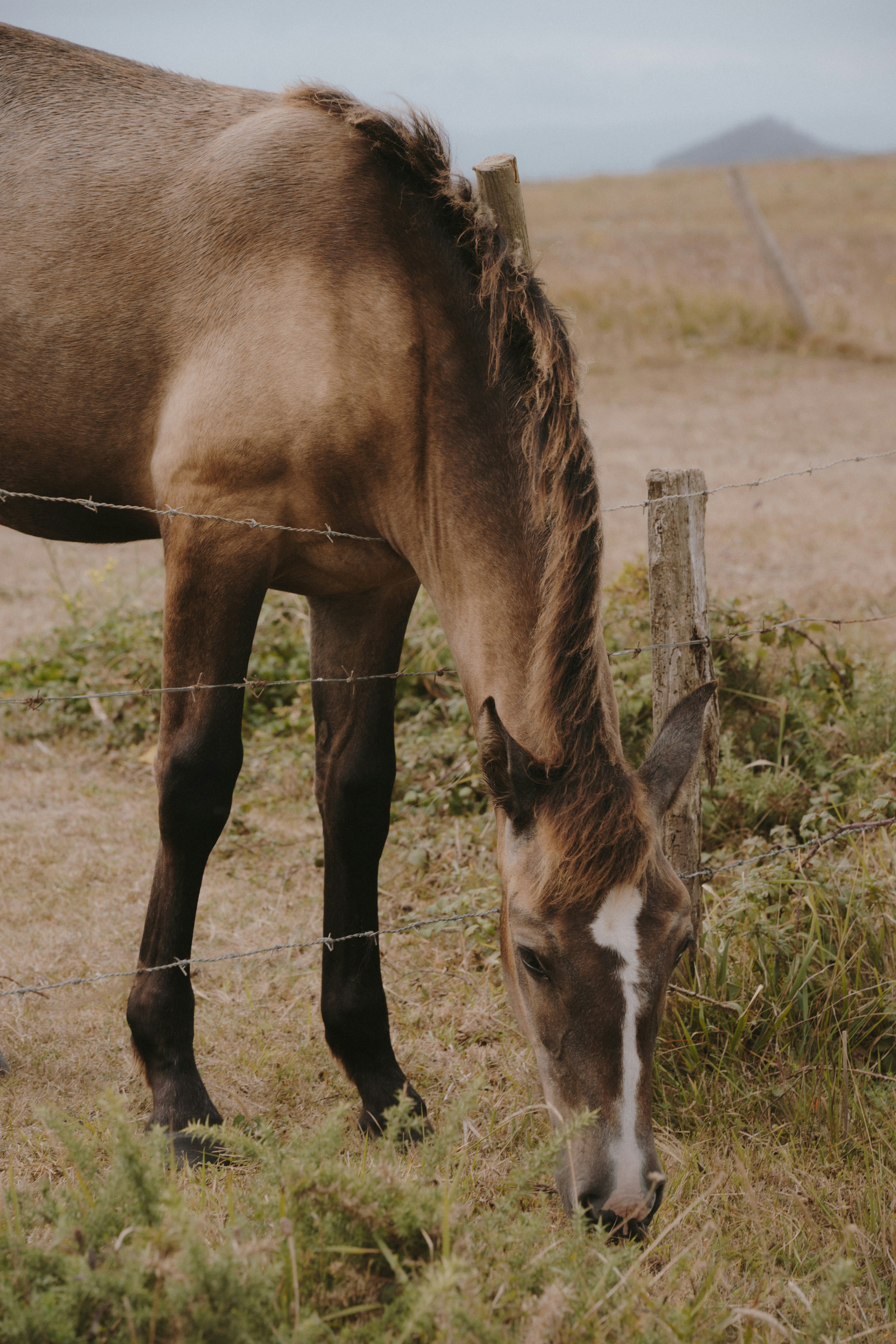 开发商每户发一万美元换数据中心支持遭抵制｜美俄删除联合国自主武器监管条款