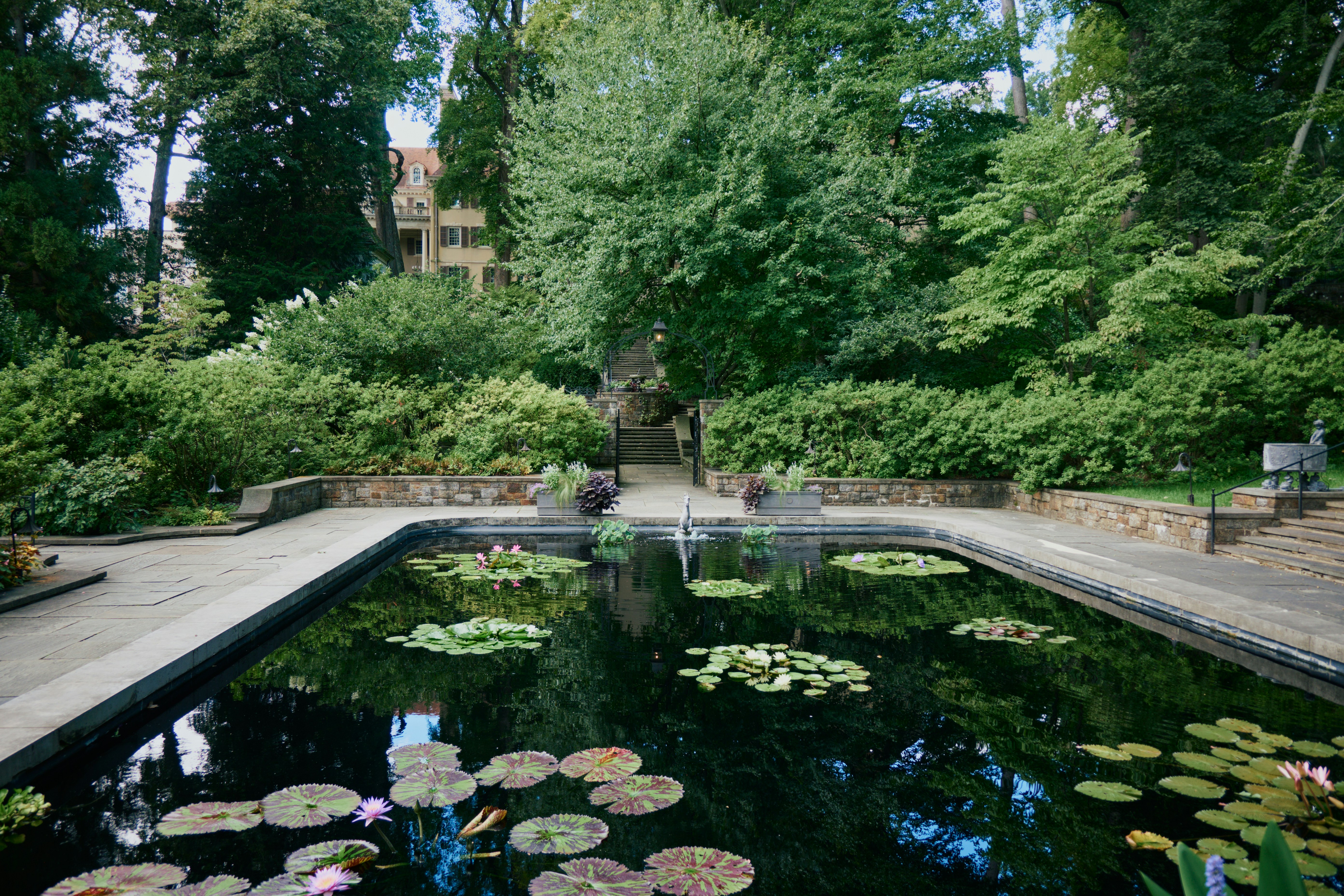 A rectangular pond with water lilies and a fountain in a lush garden
